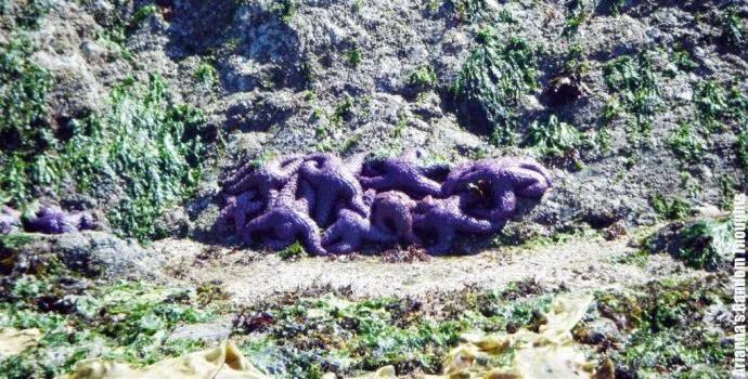 DSCF6646