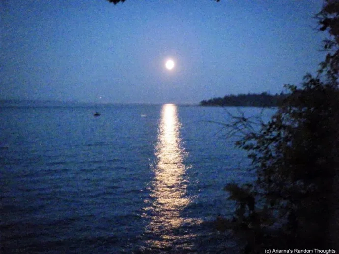 Be like the moon rising over the ocean, and be seen!