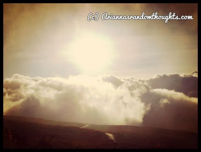 Why not drive through the windy mountain roads of life with a sunny outlook?