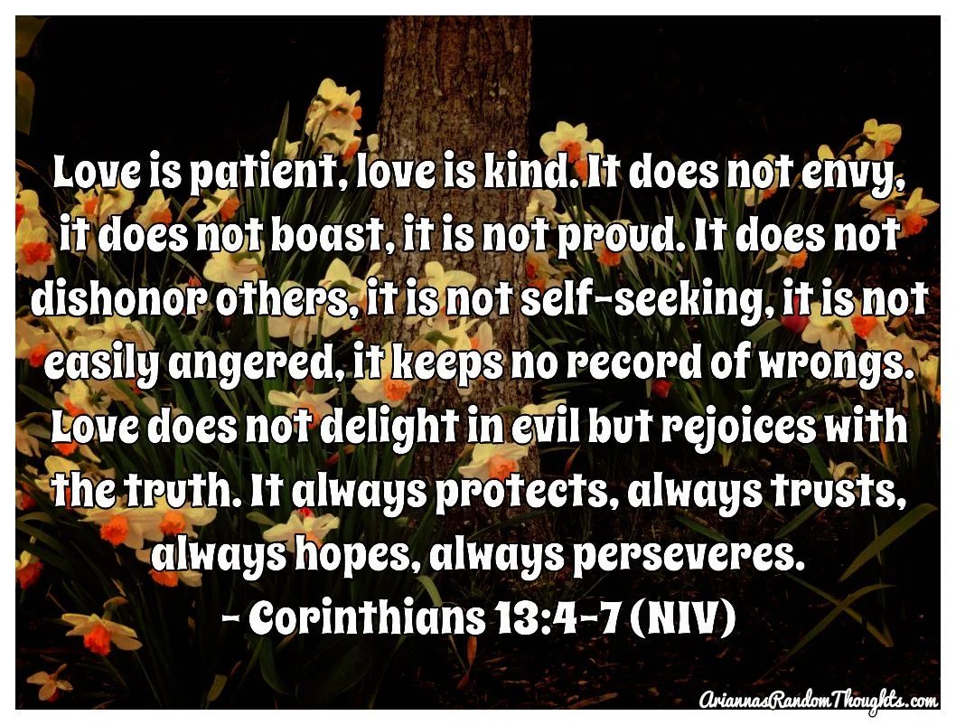 BeFunky_love is patient.jpg
