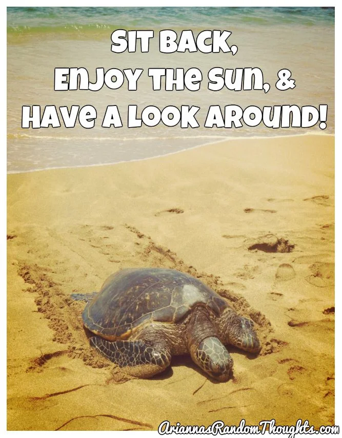 BeFunky_turtle 2.jpg