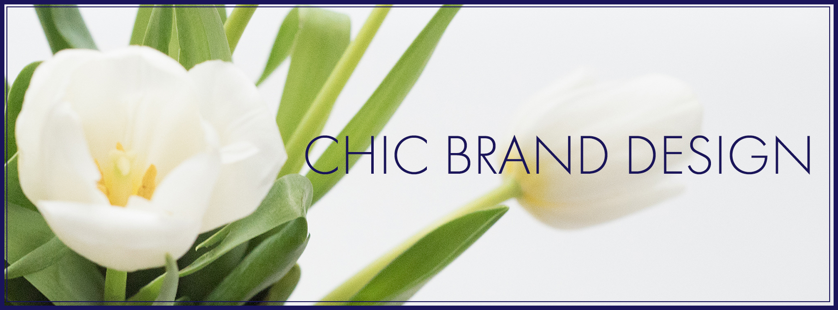 chic-brand-design_header.jpg