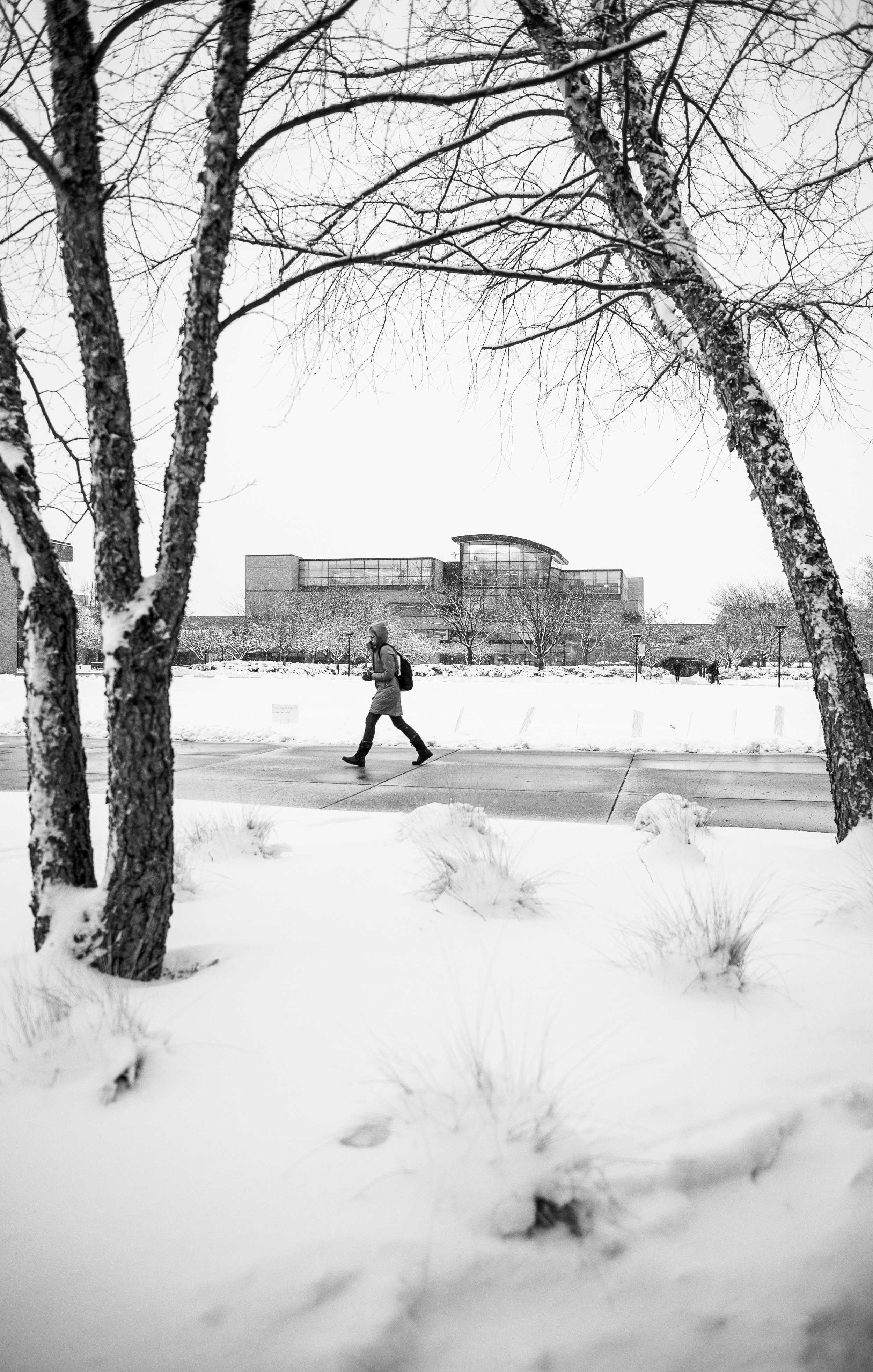 Winter Scenics 2-9 by Michael Randolph DSC_2204-Edit.JPG