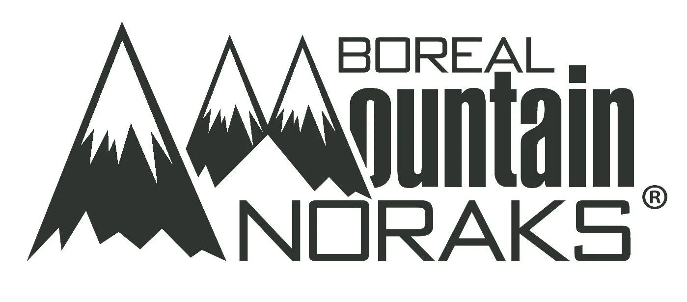 BMA Logo green.jpg