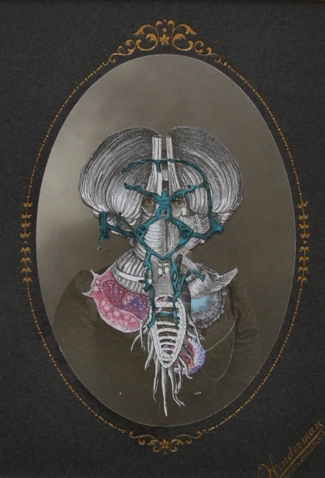 Hyacintho Domina Larvatum