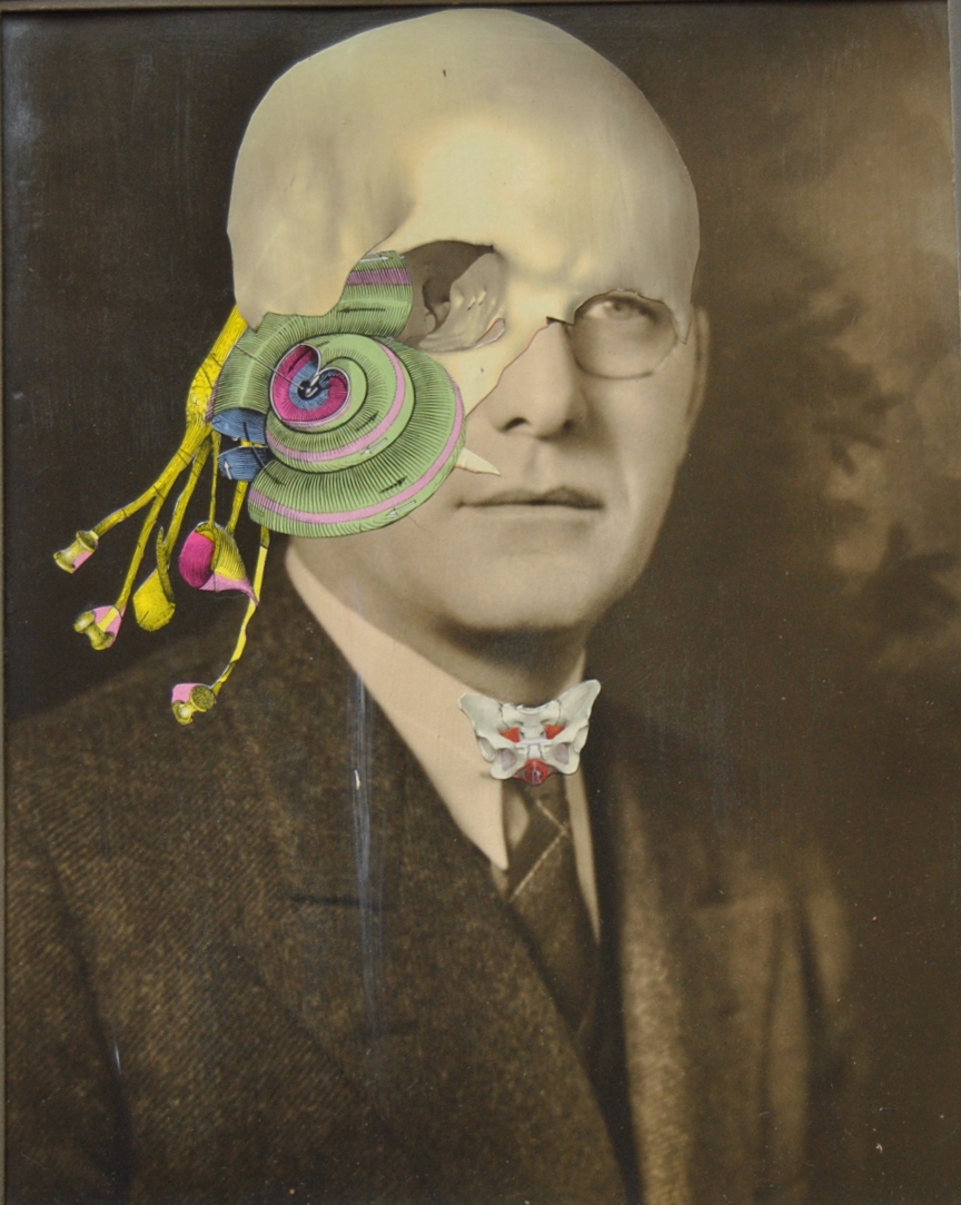 Homo in Spectaculis