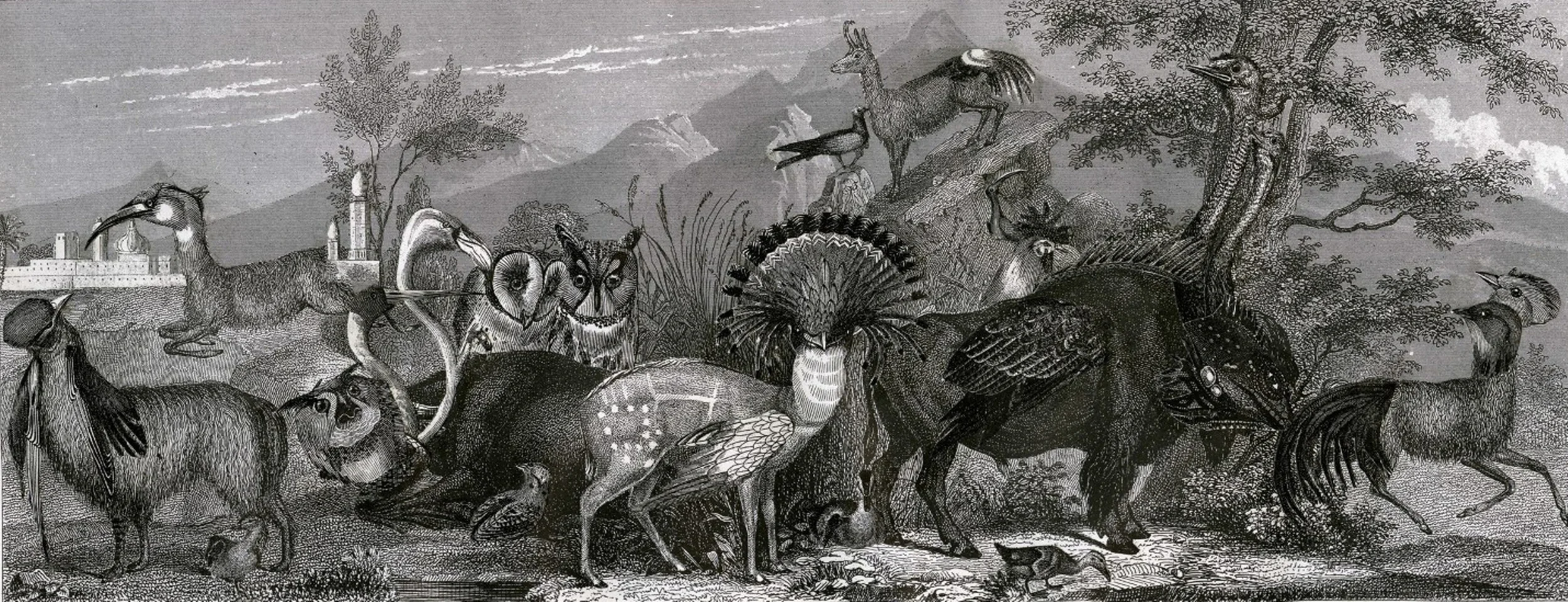 Bestiary IV