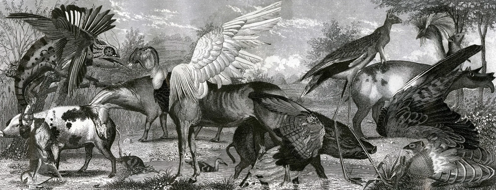 Bestiary V