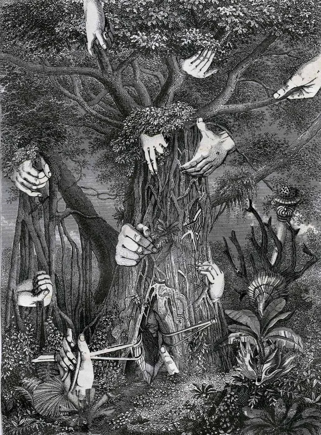 Ad Arborem Manibus II