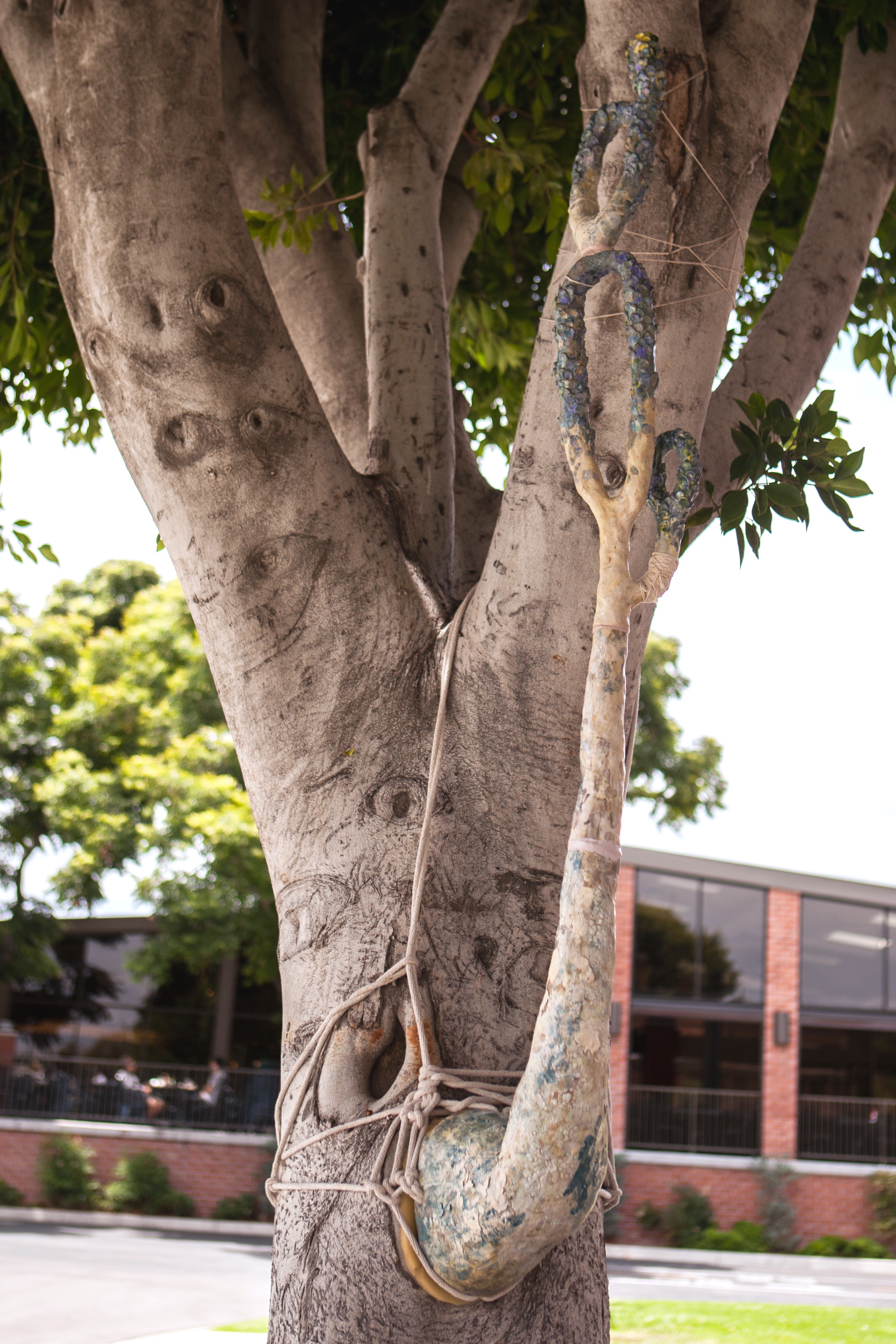 Ficus Tree Prosthesis 
