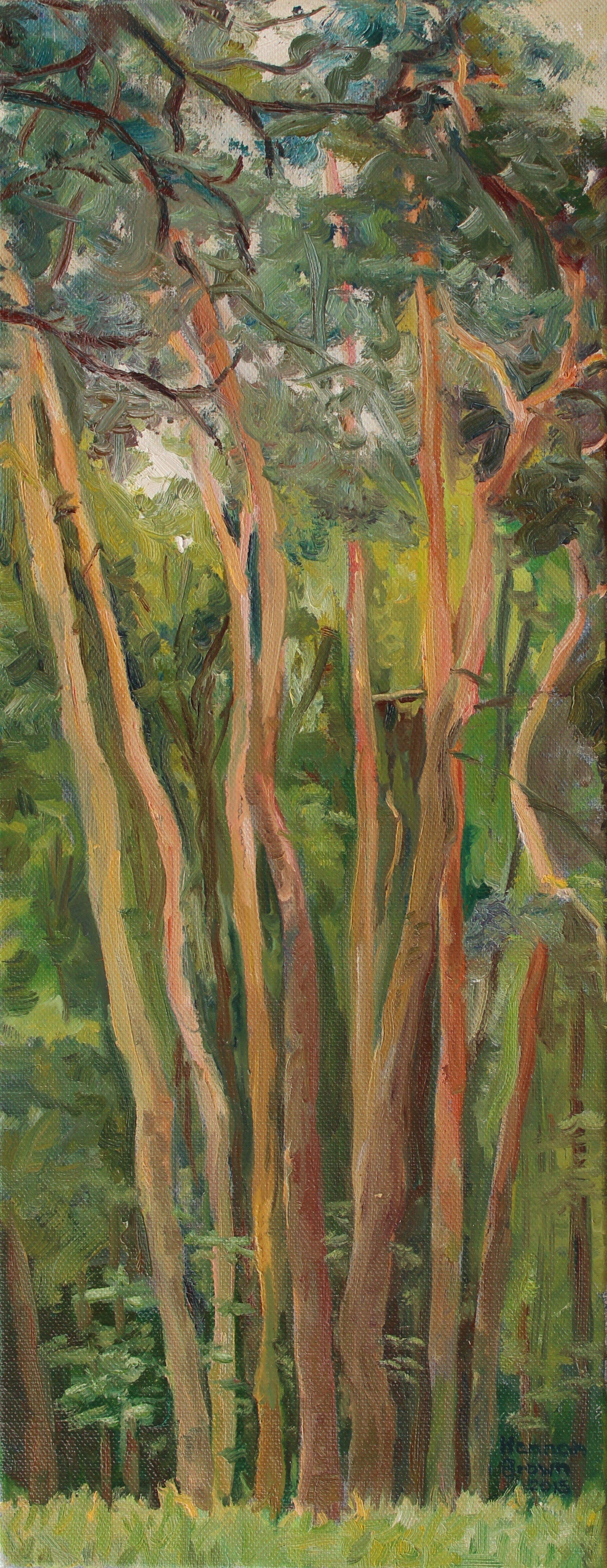 19) Lesík : Litte forest - 20x50.jpg