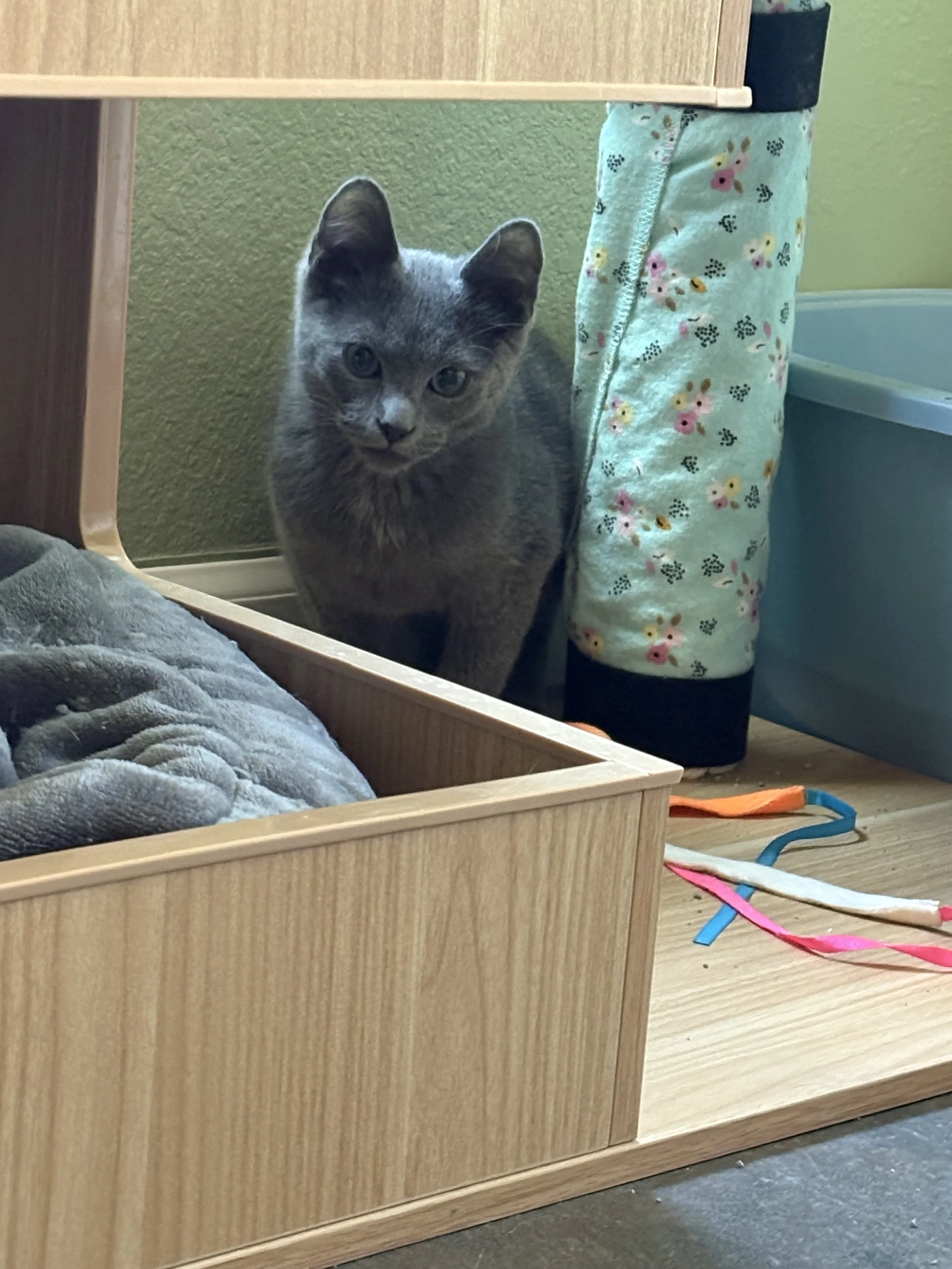 IMG_7758.jpeg
