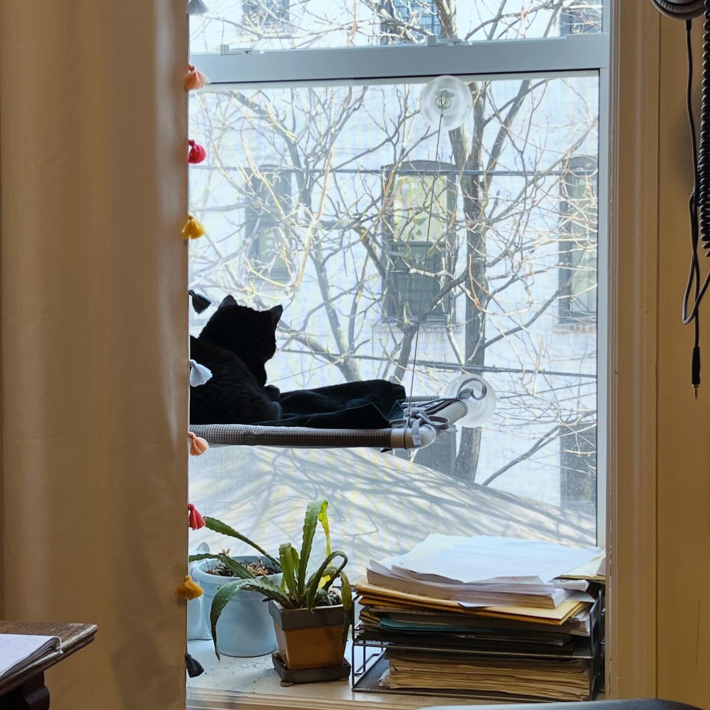 Exciting news here at EMB Editorial HQ: Chief Cat Officer Ruth Bader Ginspurr has a new perch! 🐈&zwj;⬛