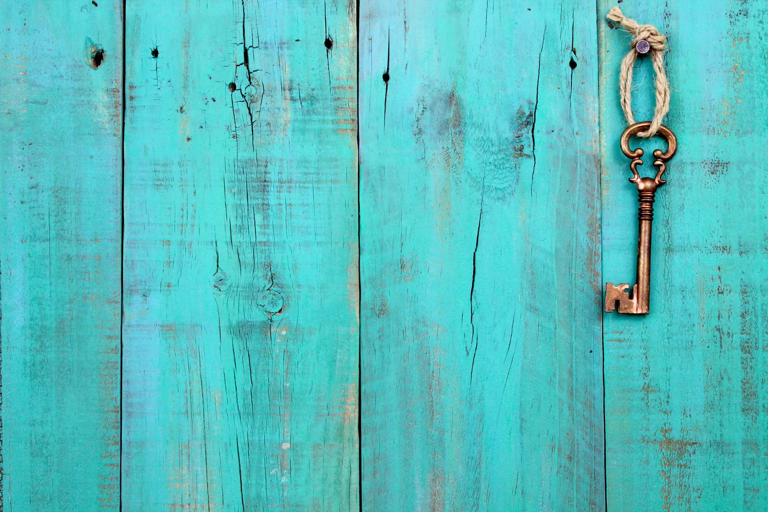 Who Has Your Key? Locking Your Domain Names