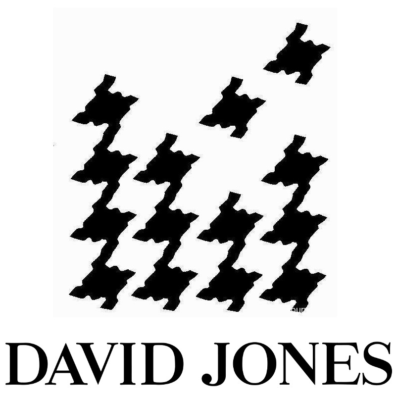 David Jones Trading 