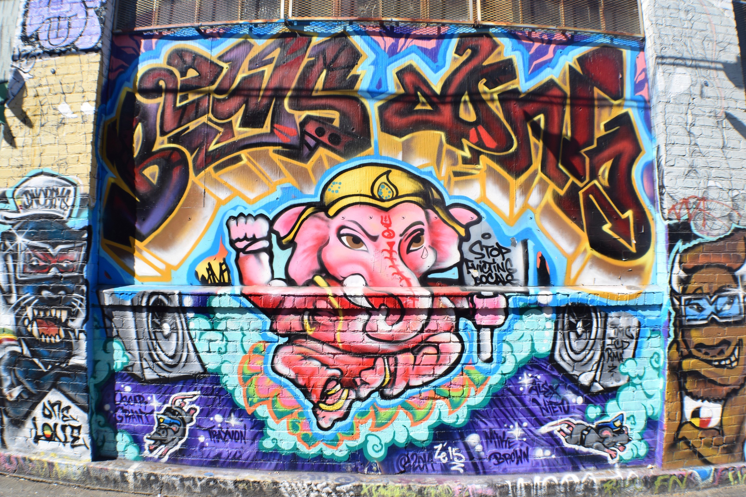 DSC_0107.jpg