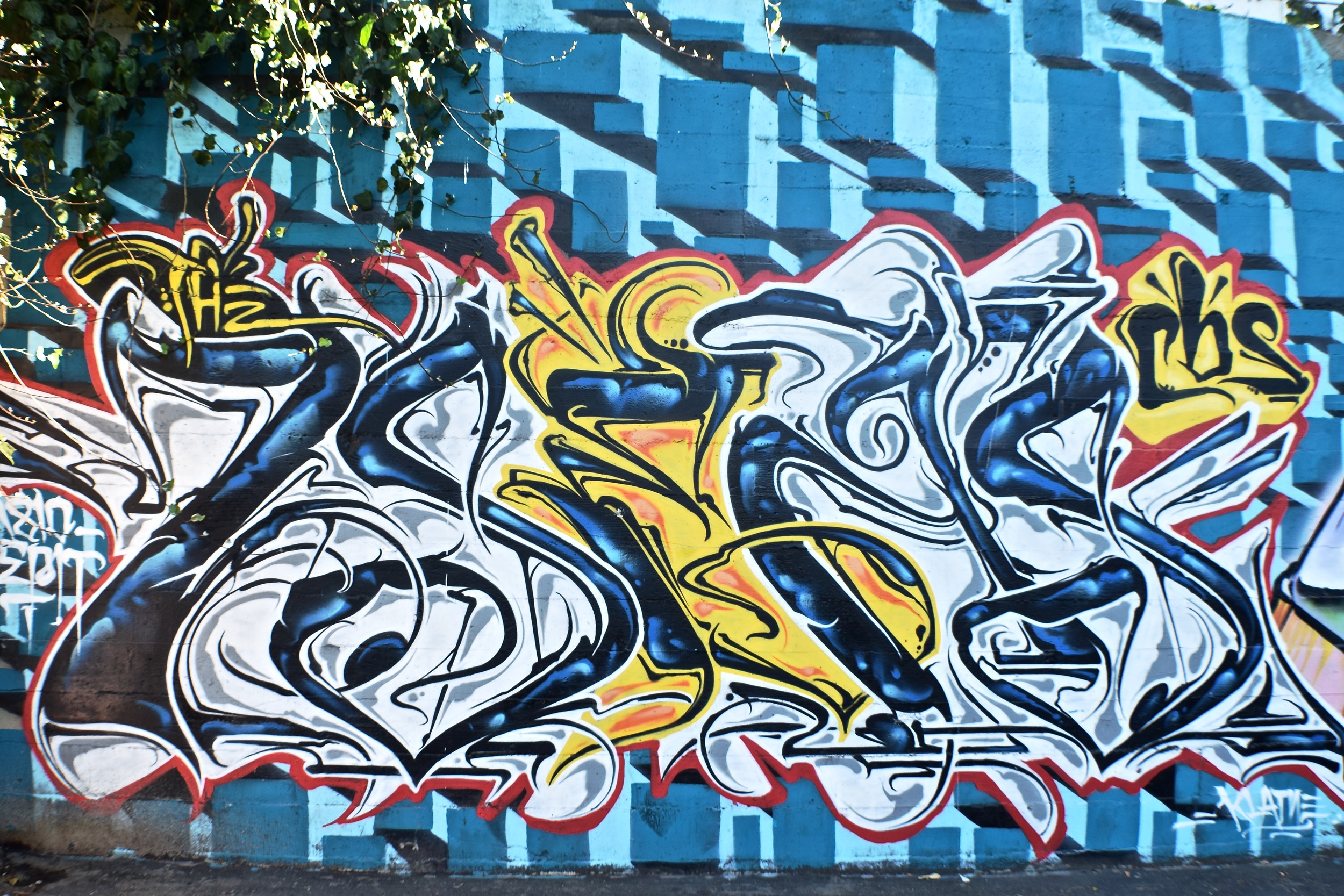 DSC_0192.jpg