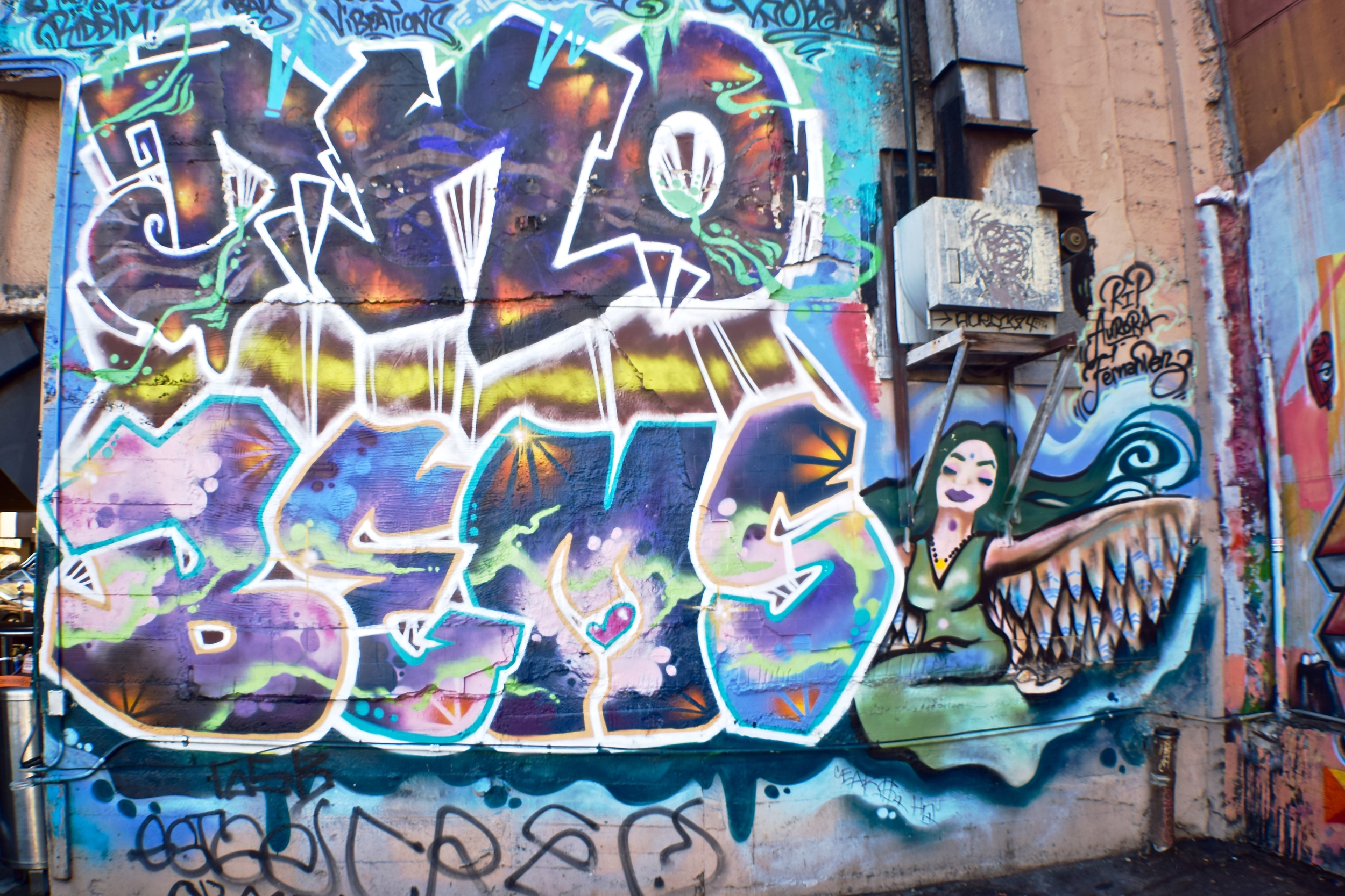 DSC_0204.jpg