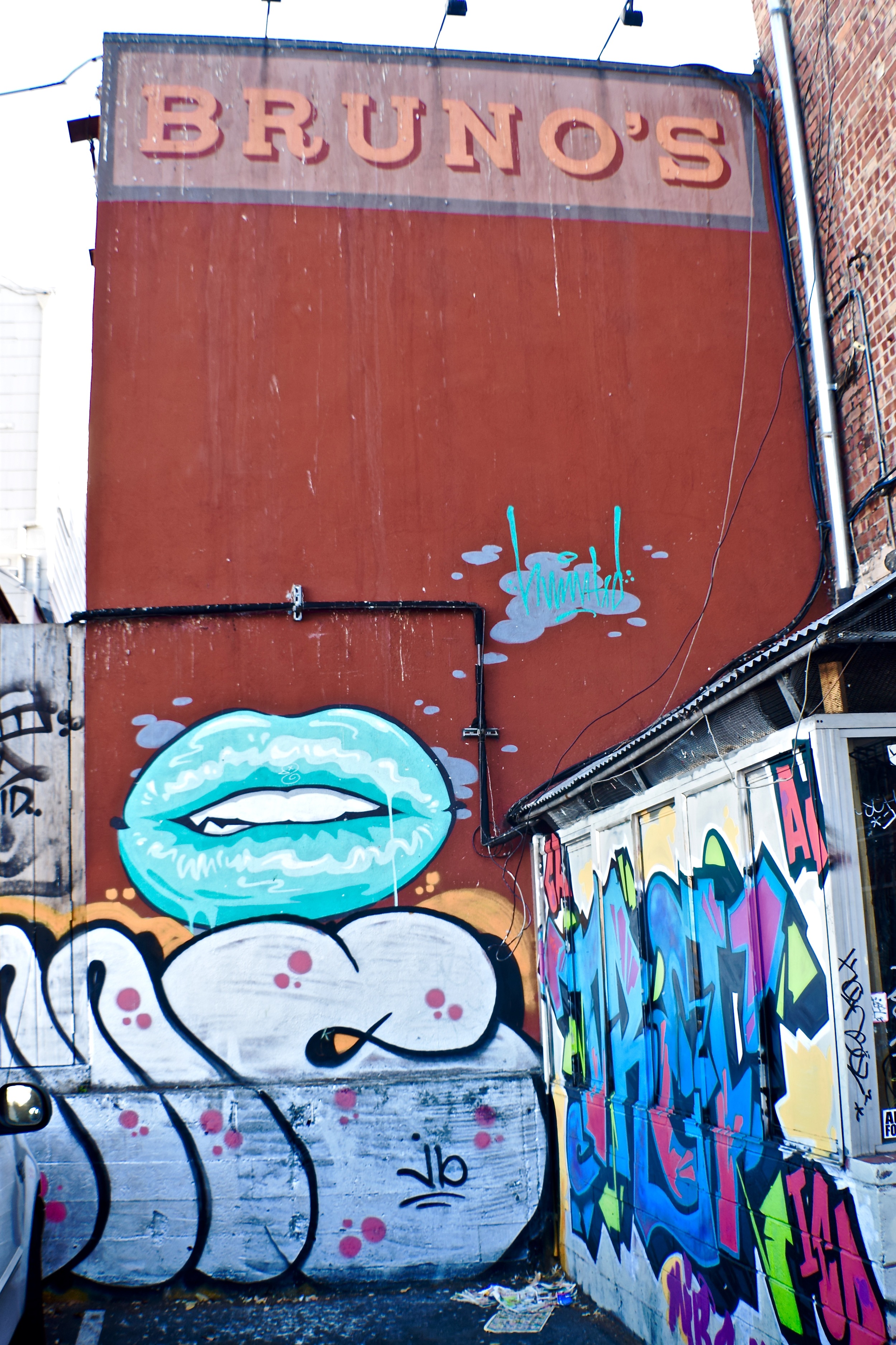 DSC_0221.jpg