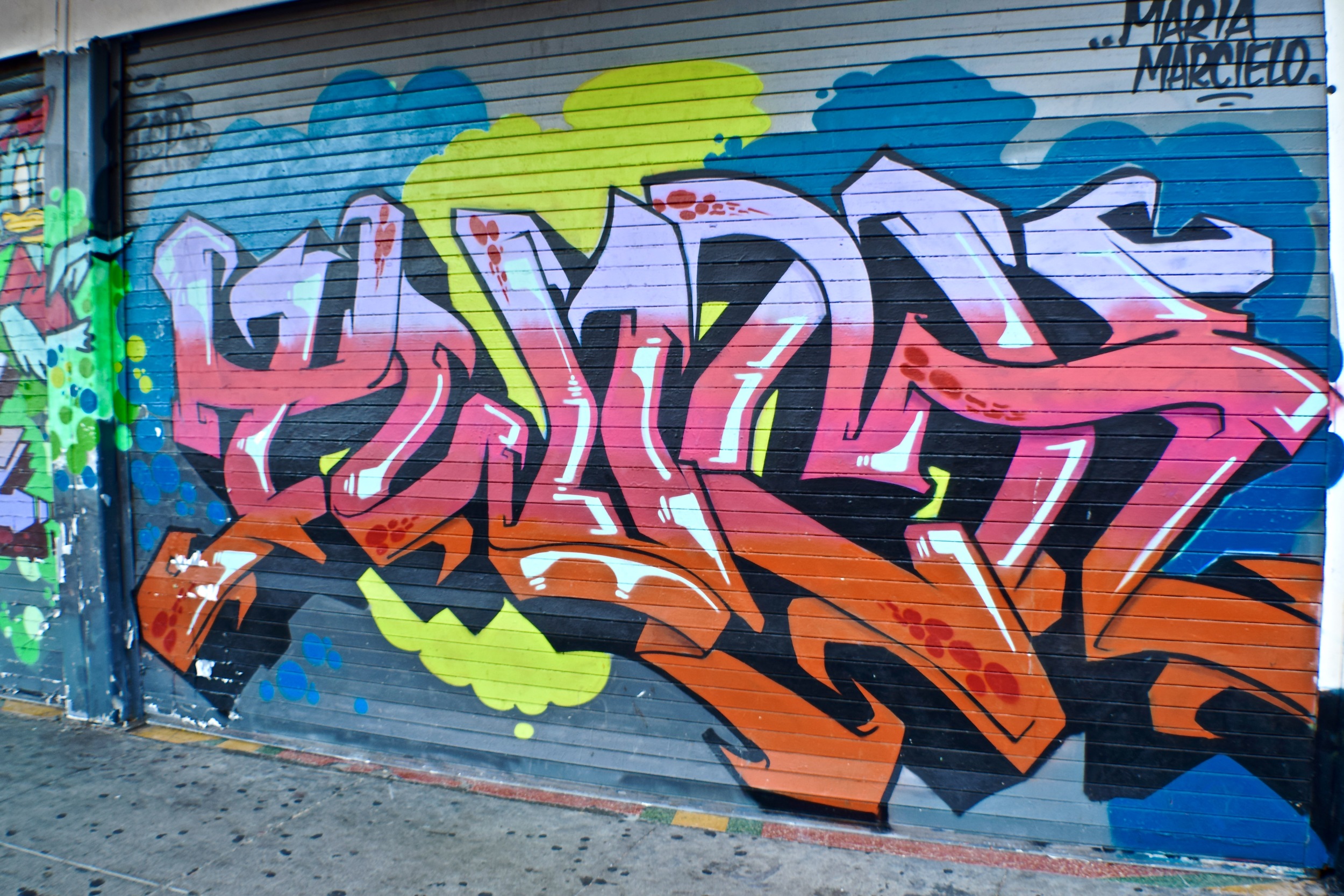DSC_0245.jpg