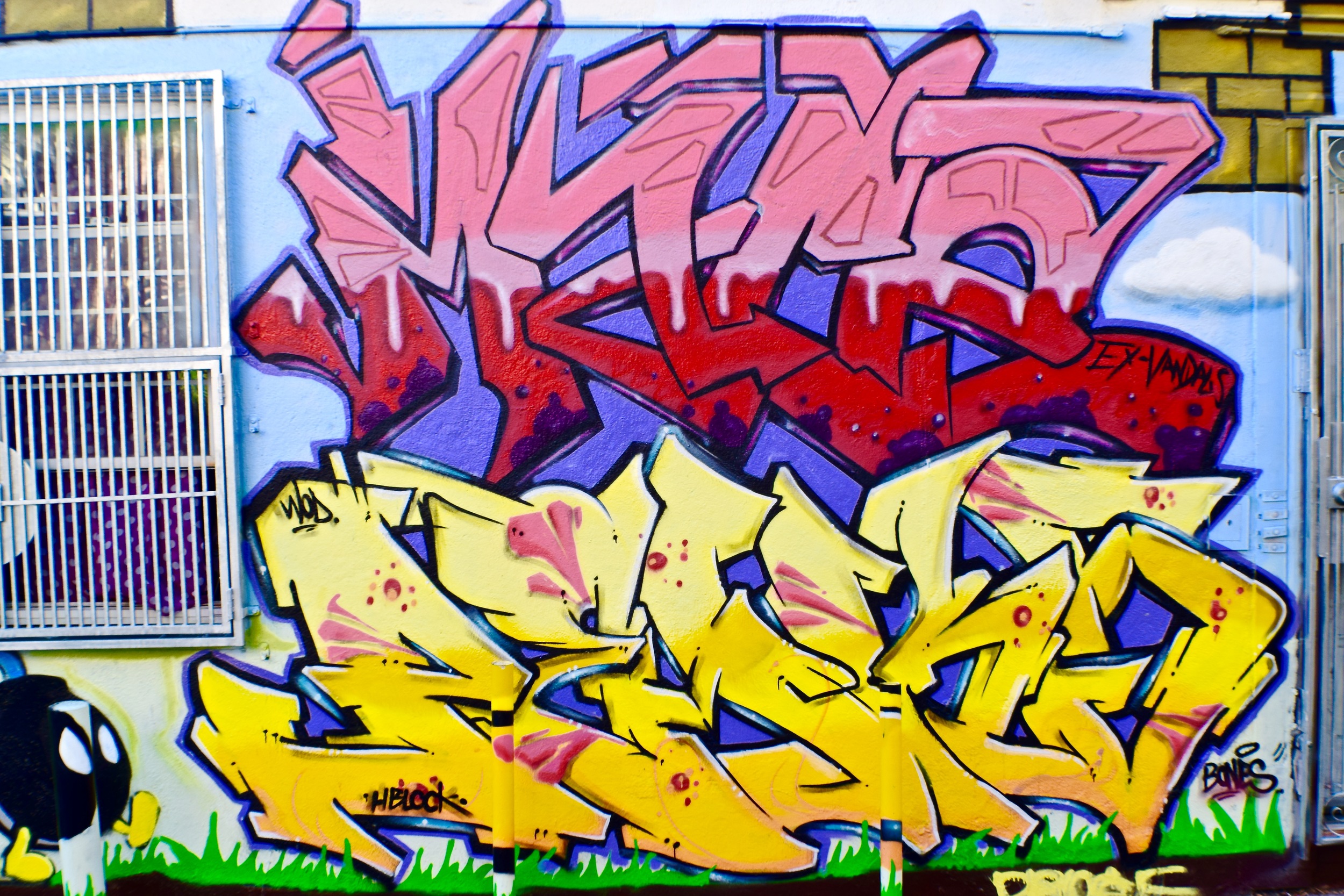 DSC_0271.jpg