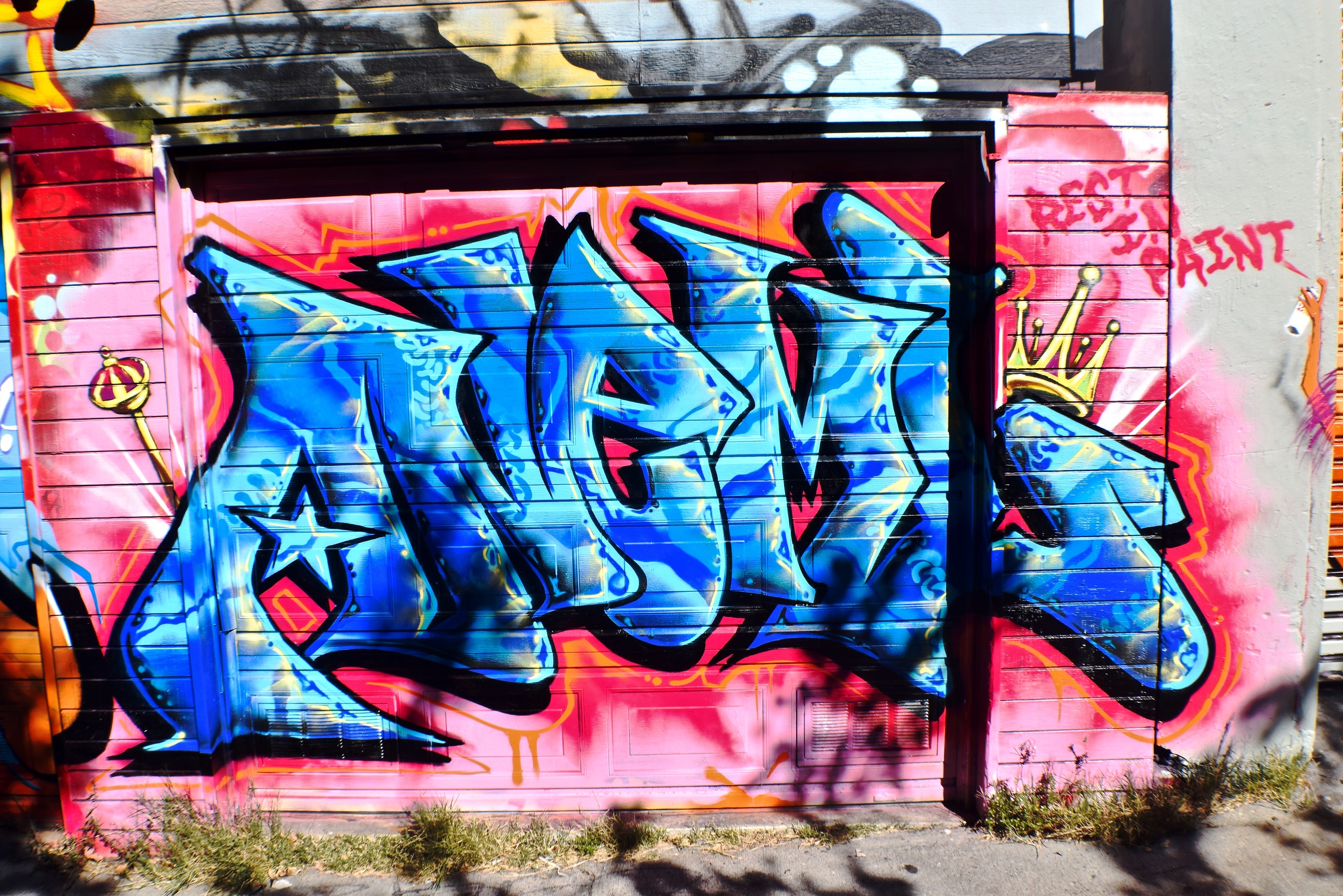 DSC_0101.jpg