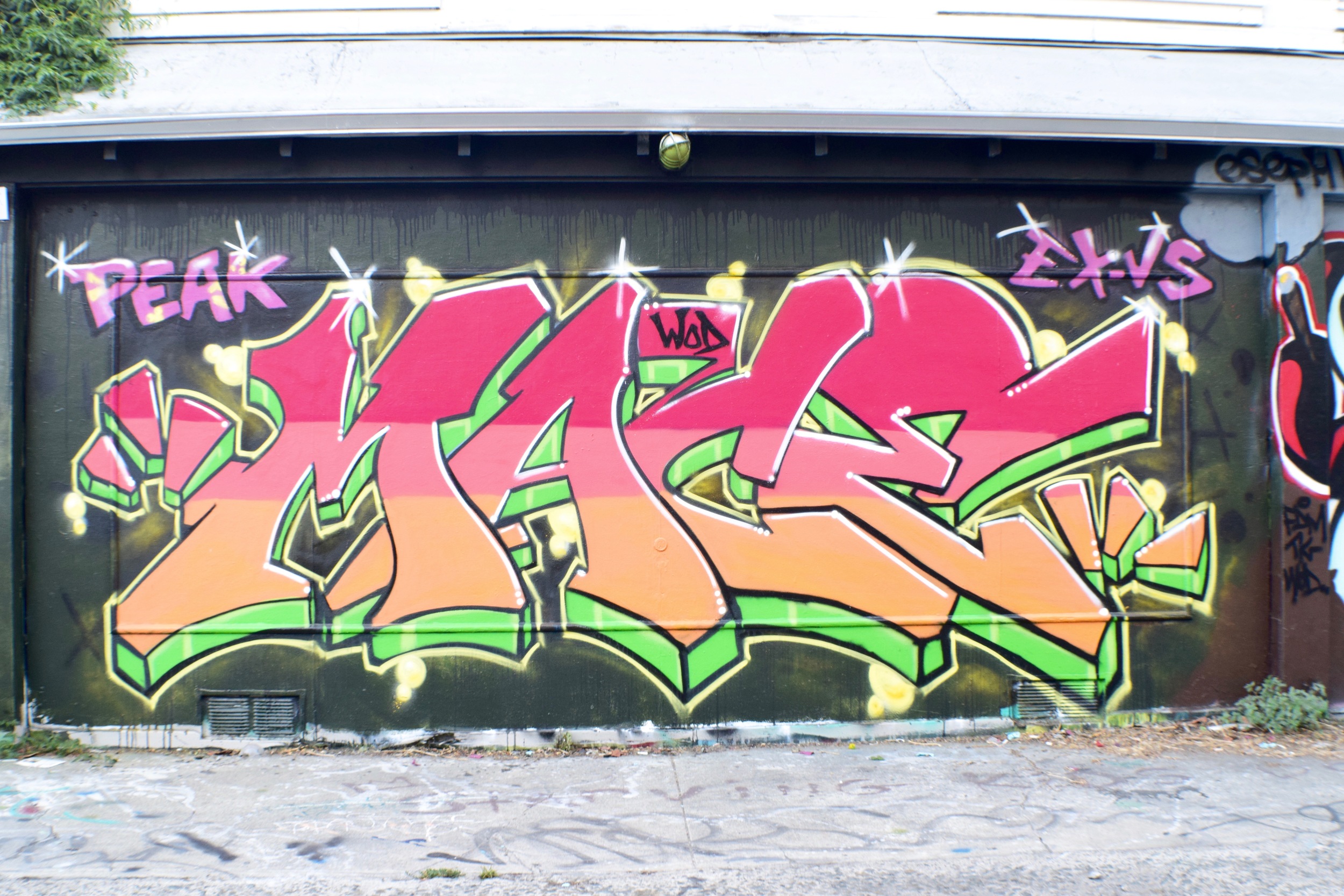 DSC_0295.jpg