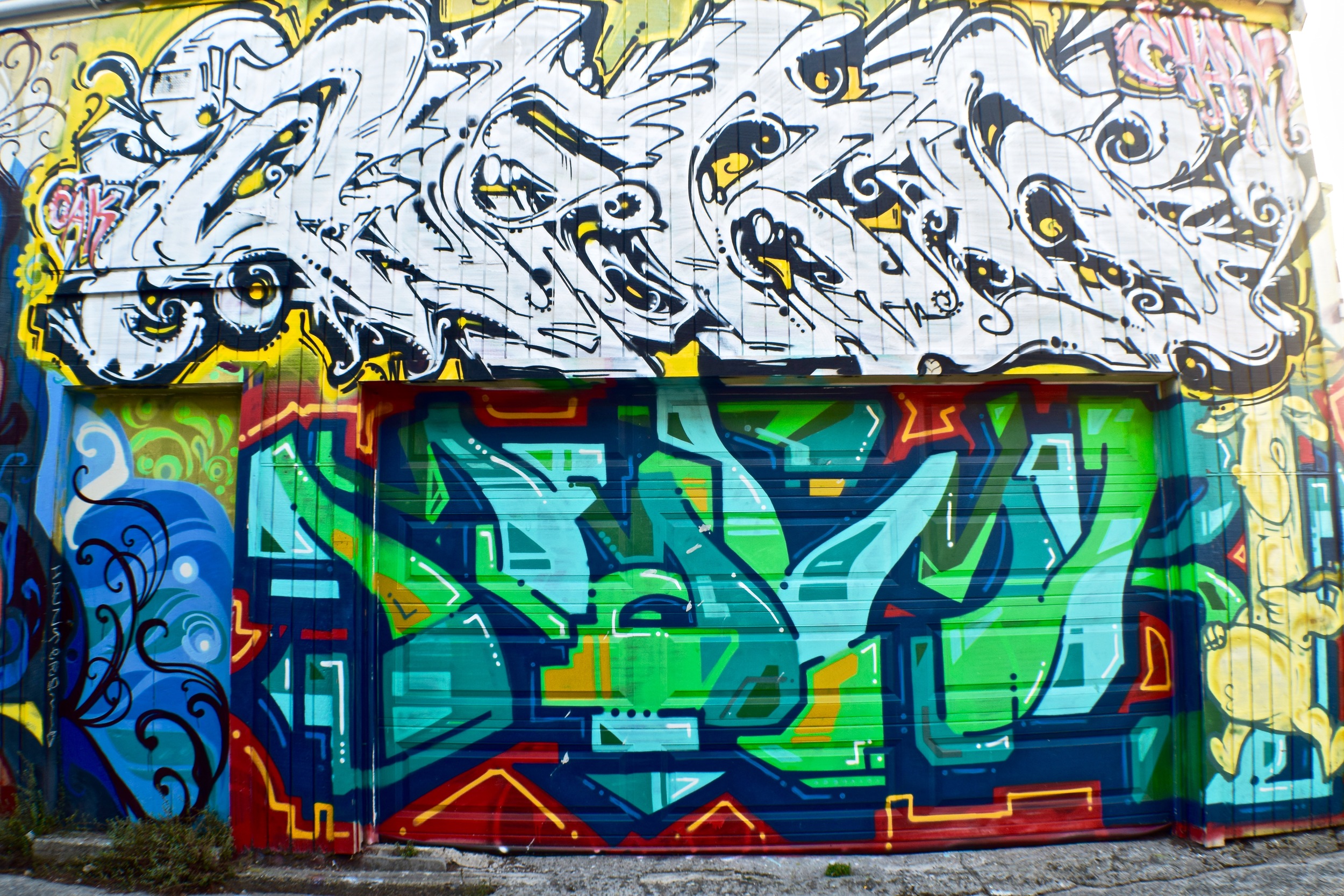 DSC_0302.jpg