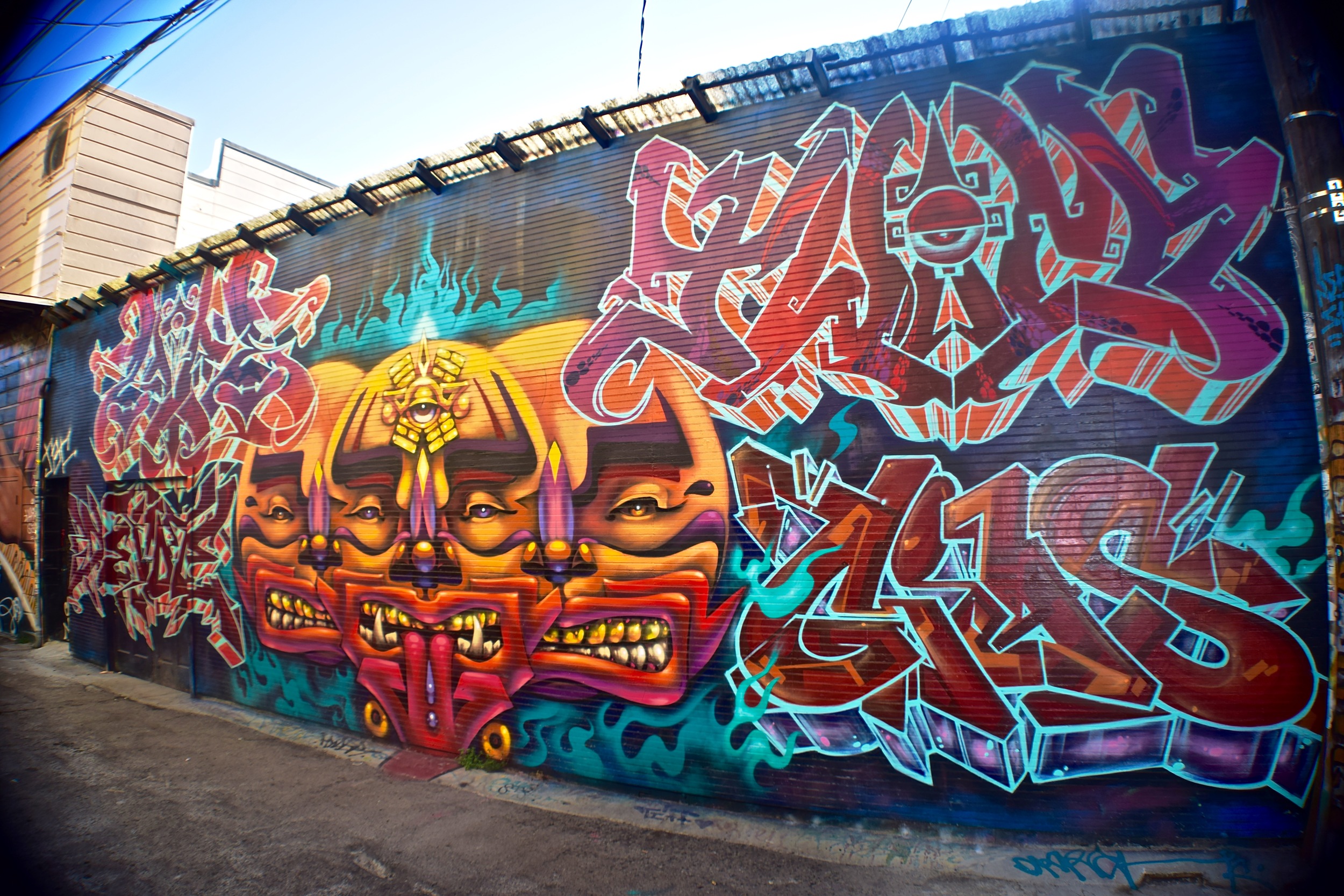 DSC_0331.jpg