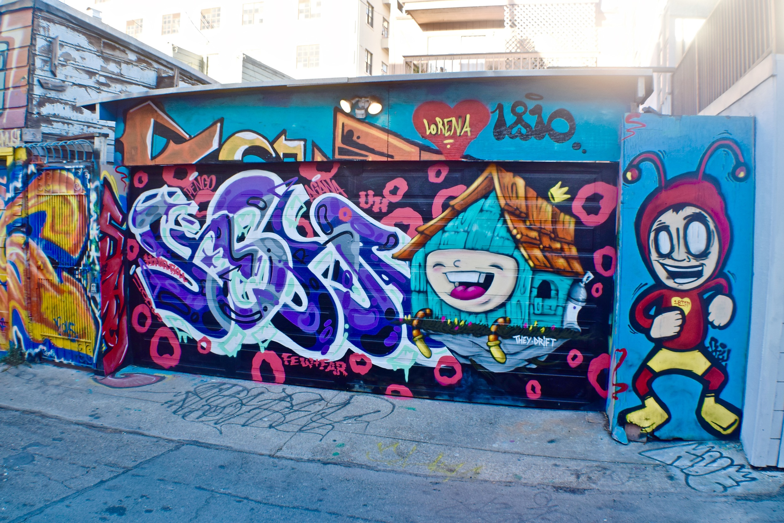 DSC_0342.jpg