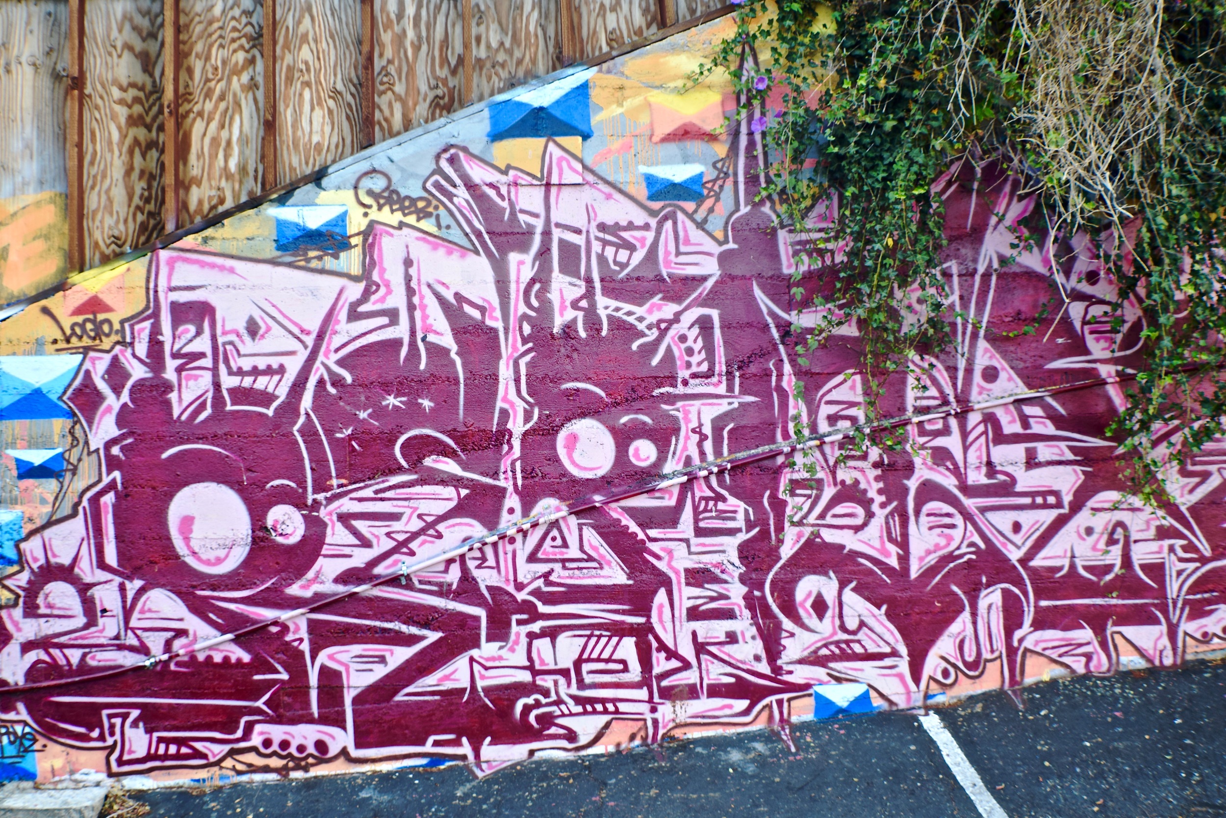 DSC_0208.jpg