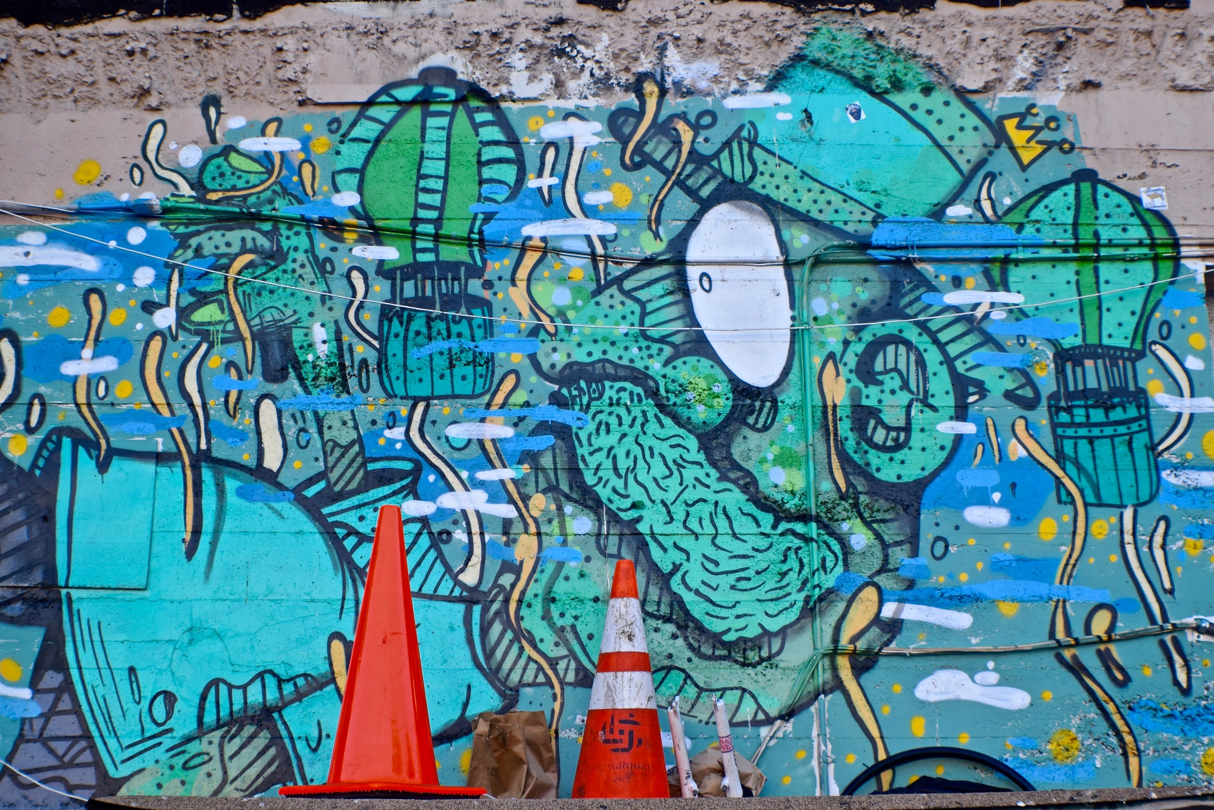 DSC_0214.jpg