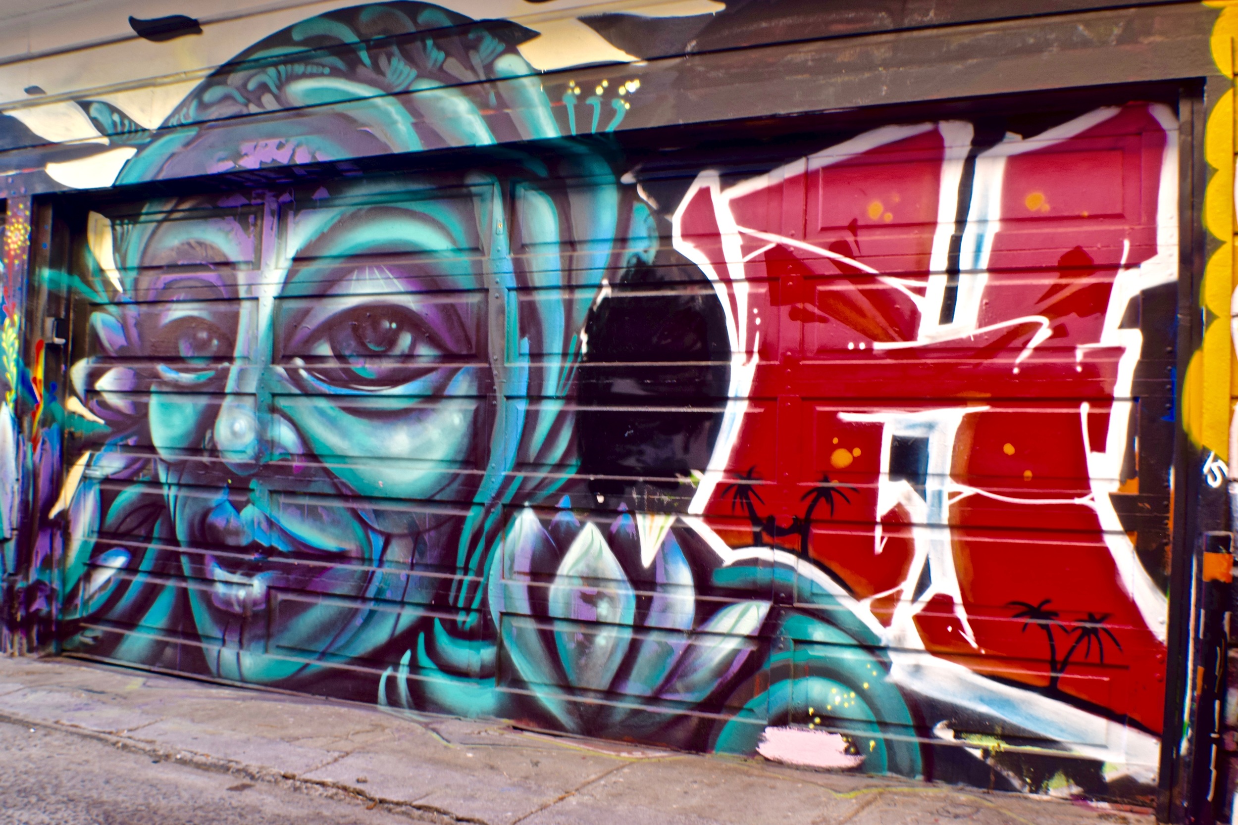 DSC_0269.jpg