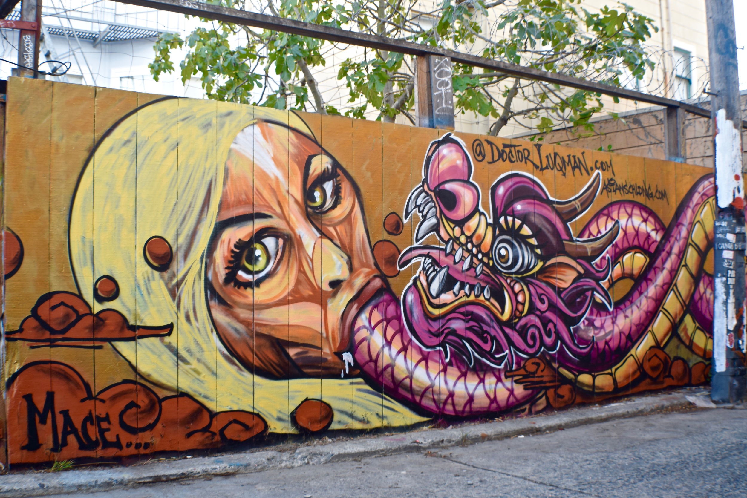 DSC_0324.jpg