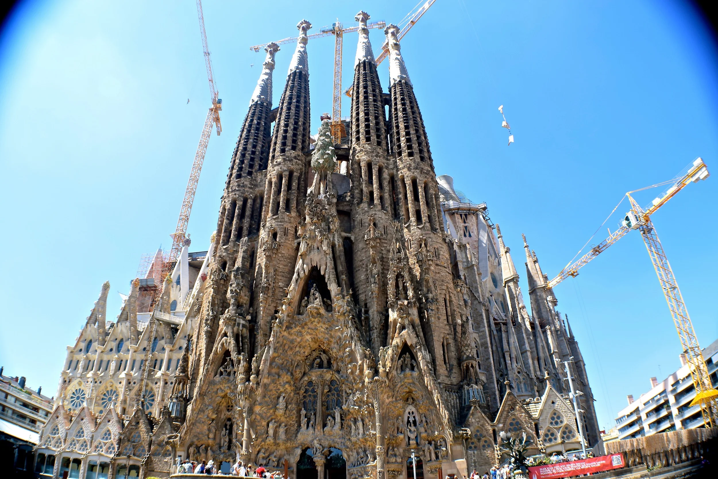 DSC_0016.jpg