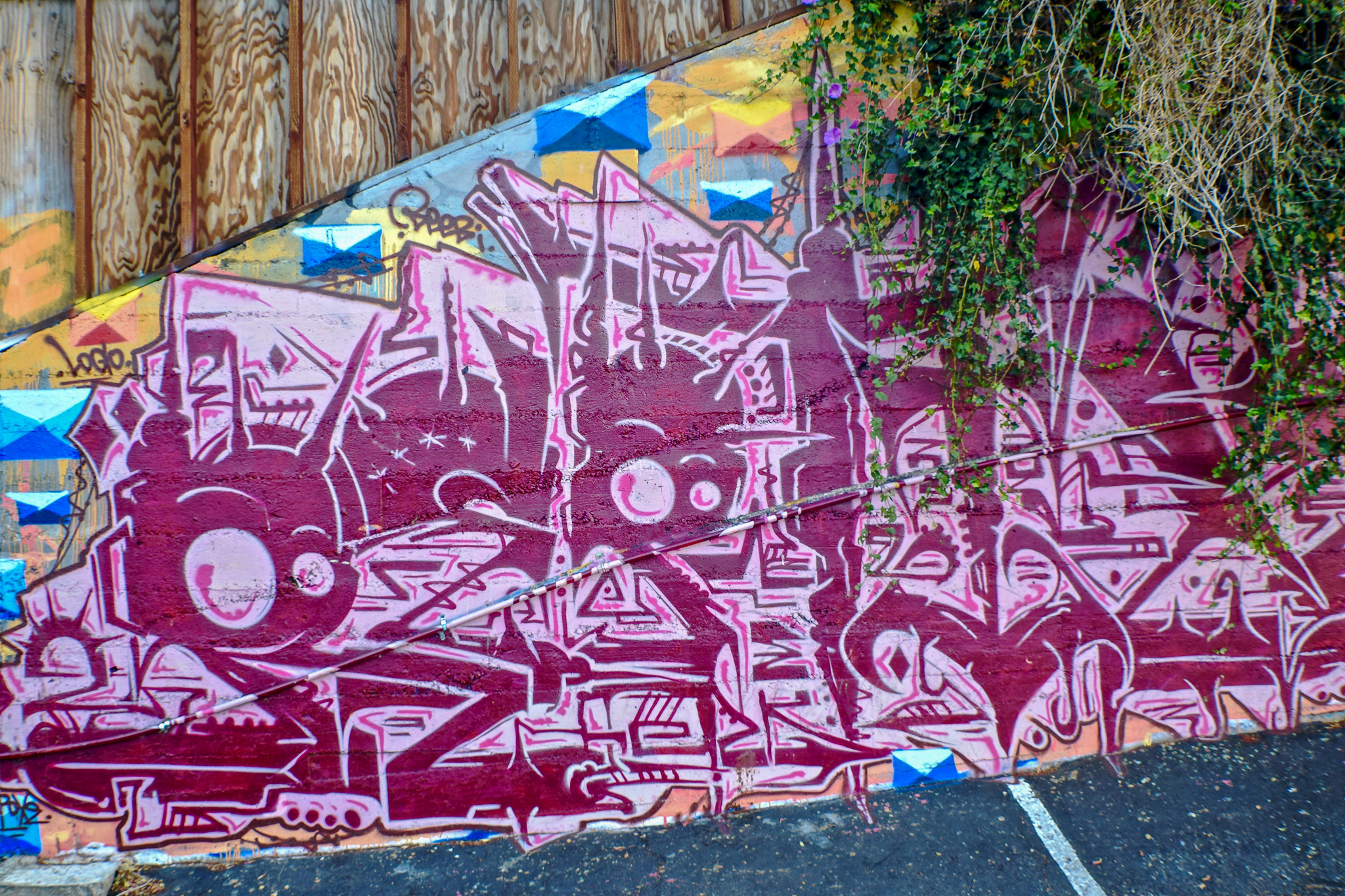 DSC_0208.jpg