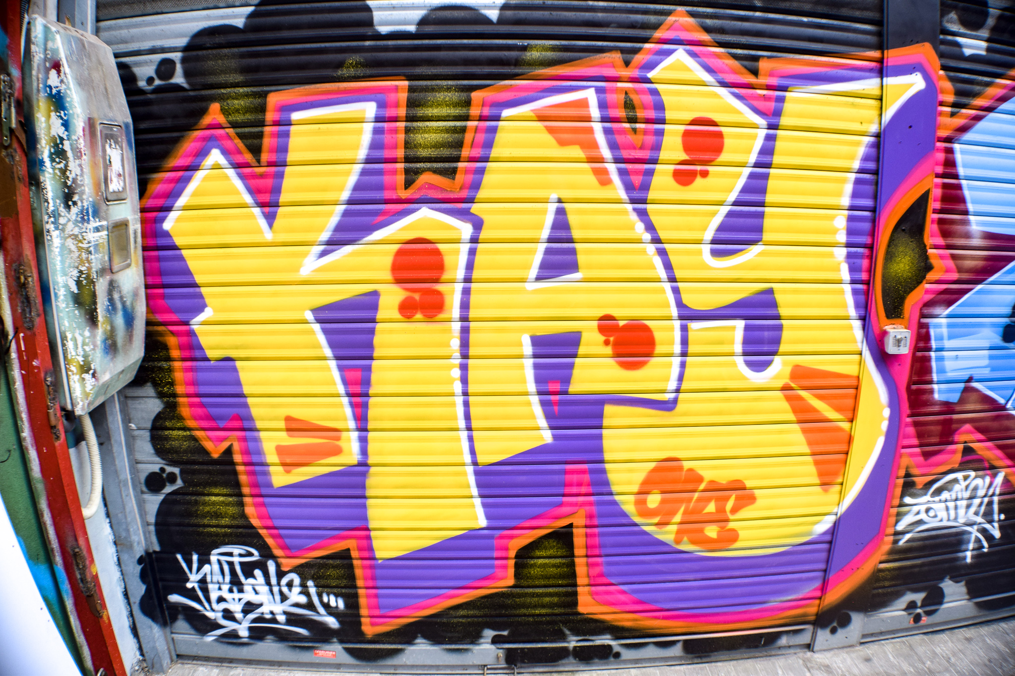 DSC_0228.jpg