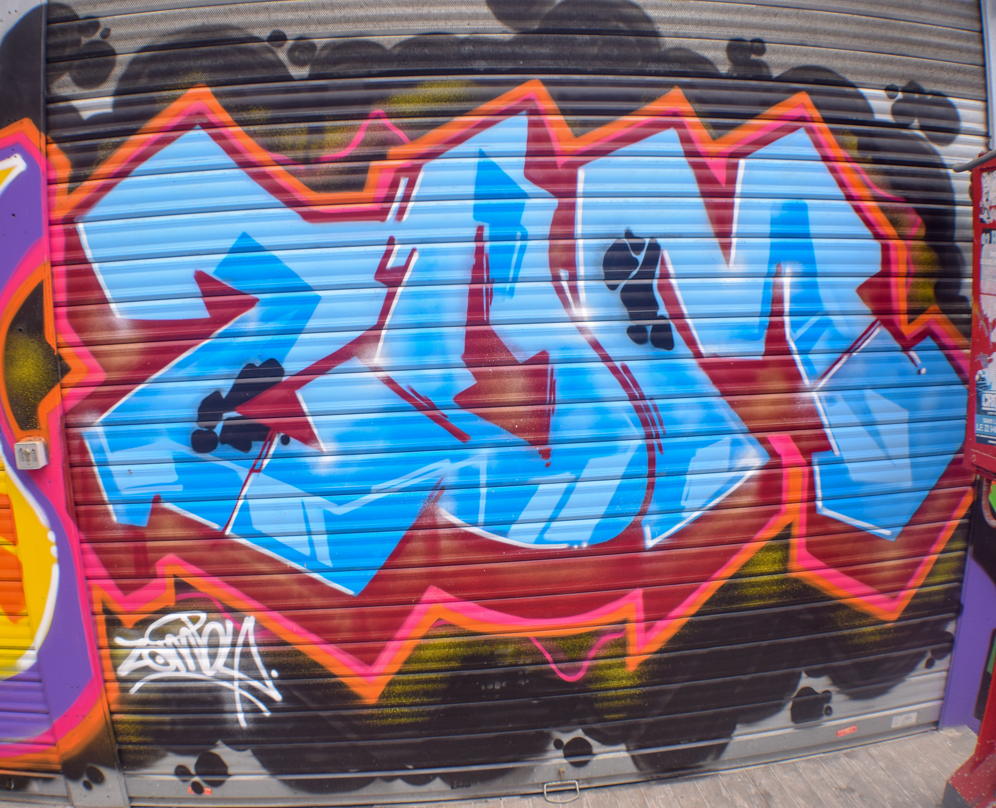DSC_0229.jpg
