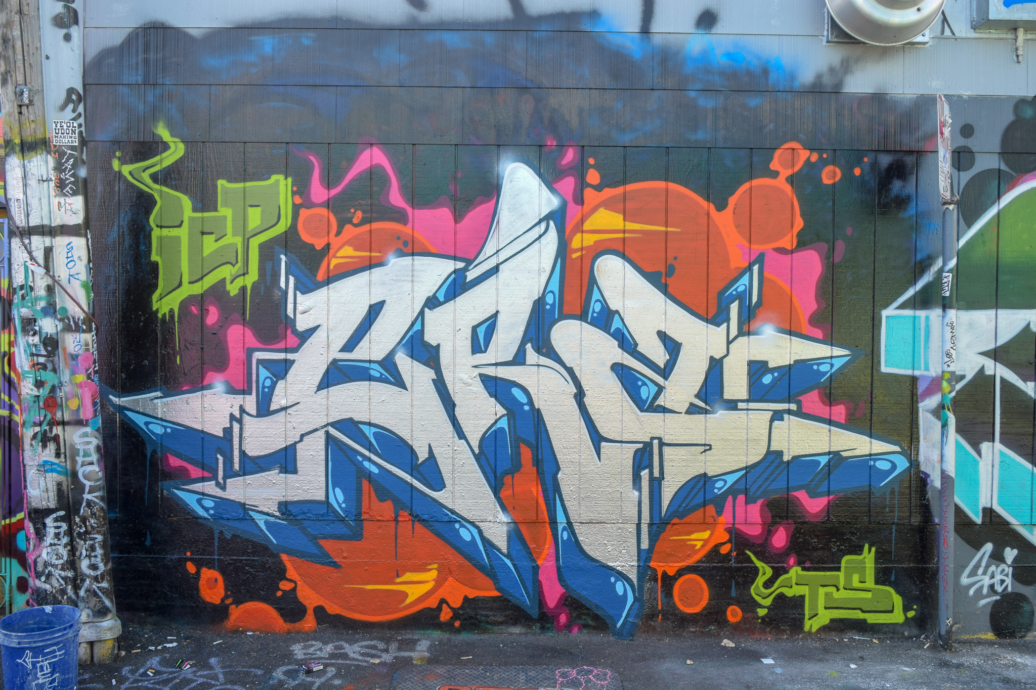 DSC_0258.jpg