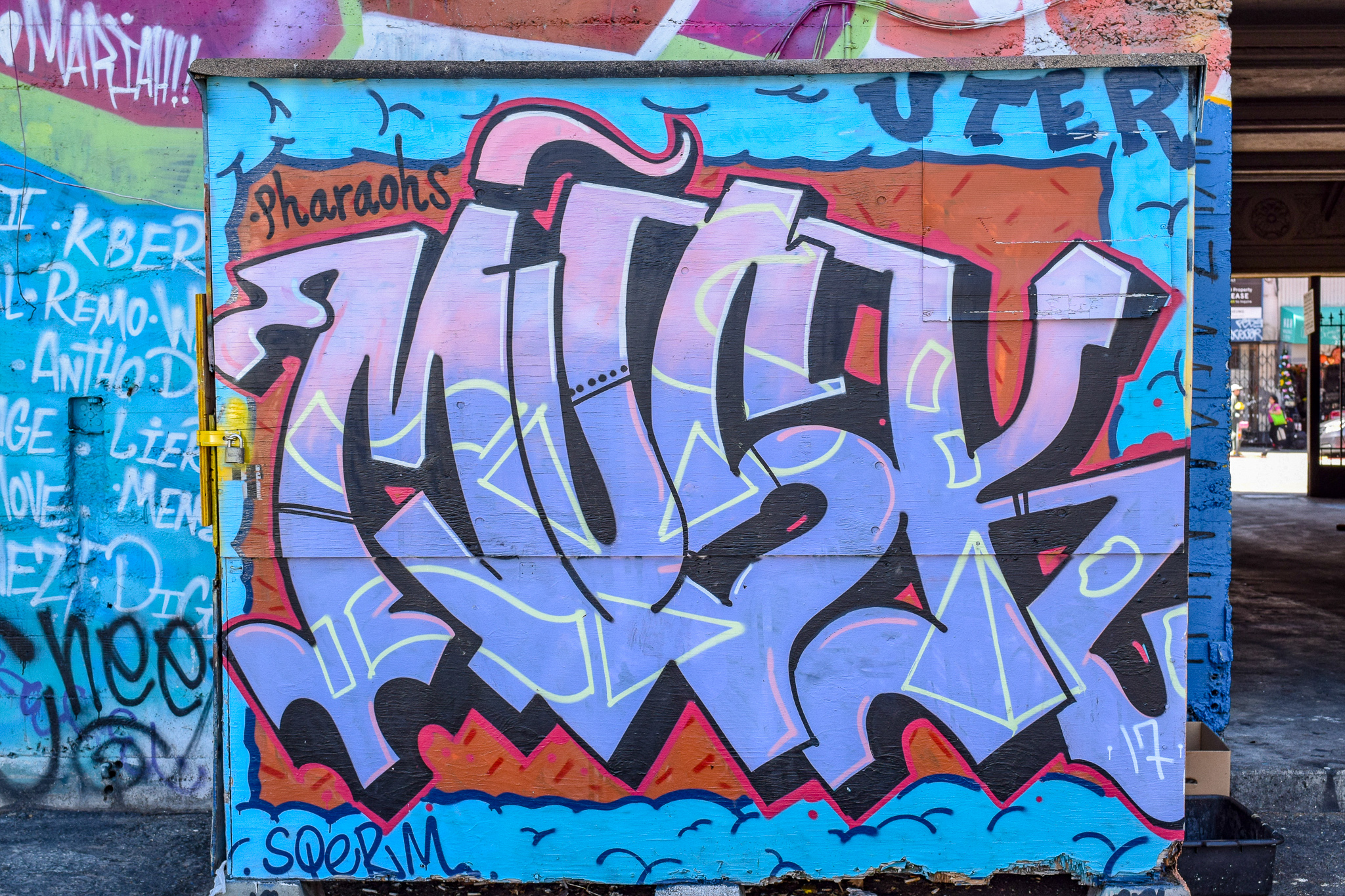 DSC_0248.jpg