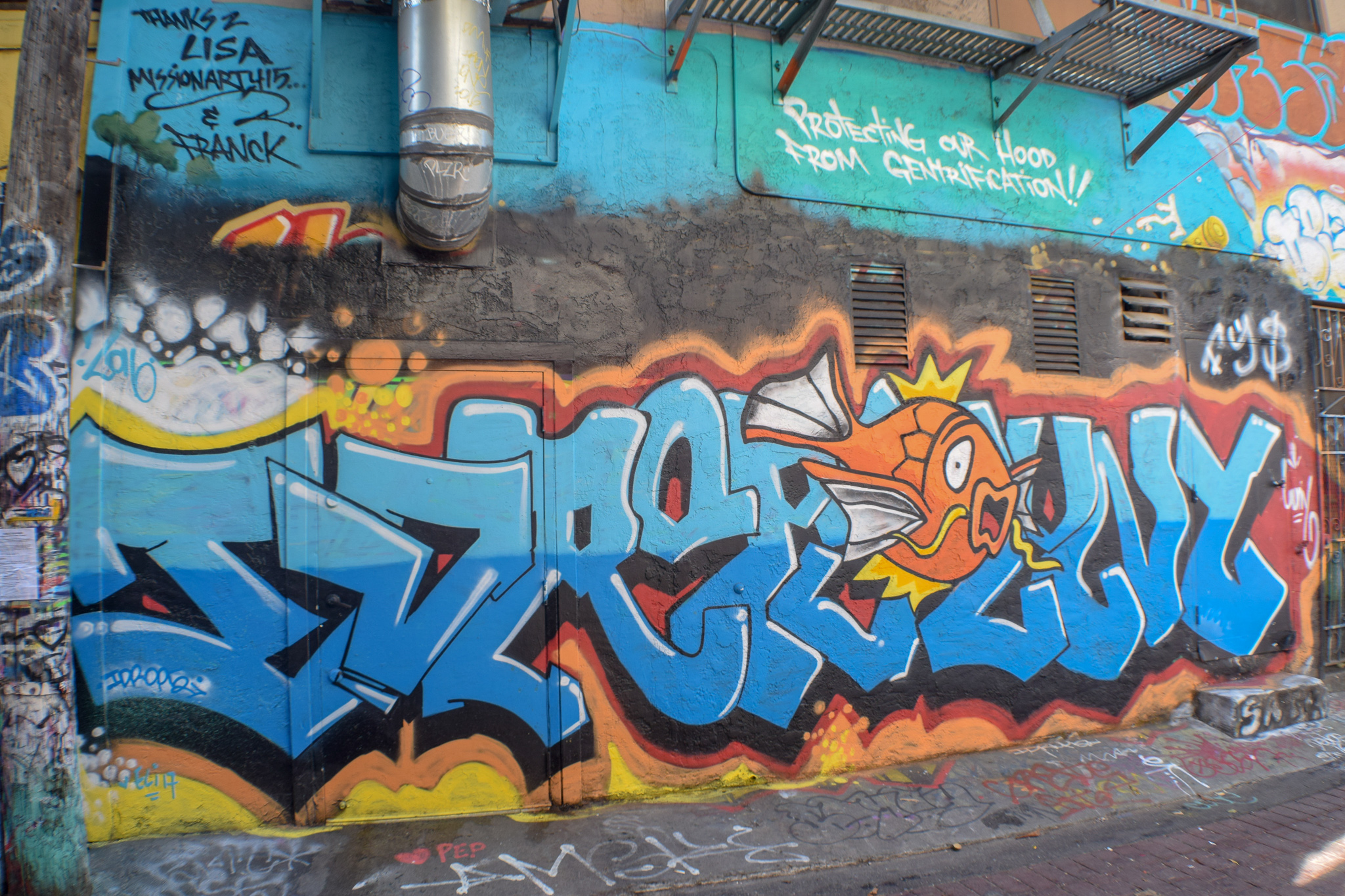 DSC_0267.jpg