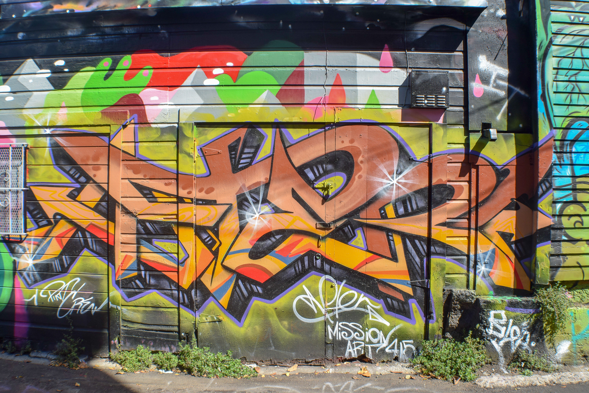 DSC_0263.jpg
