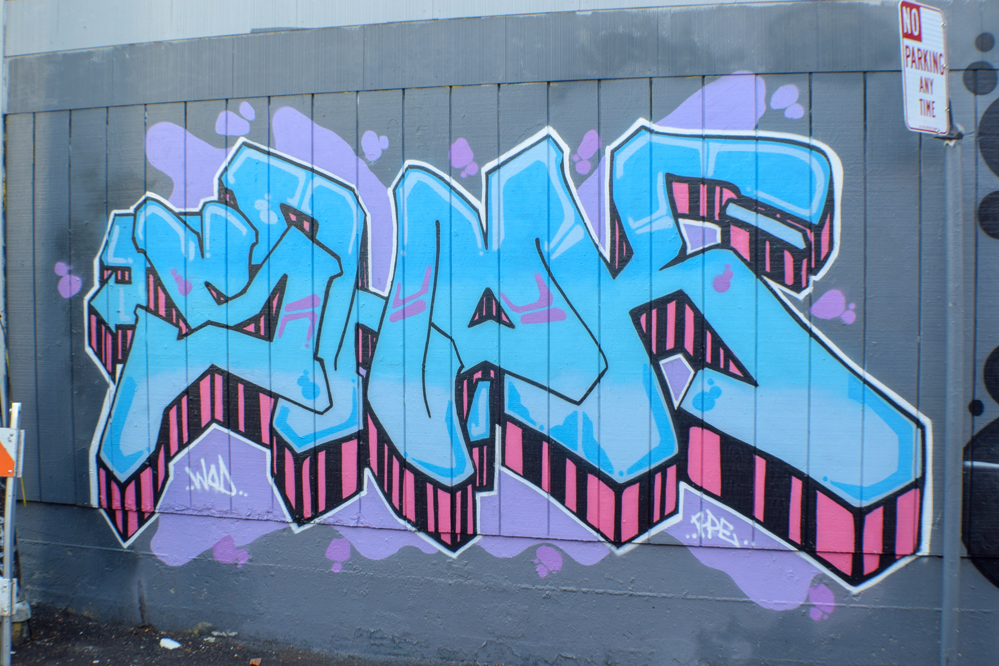 DSC_0279.jpg