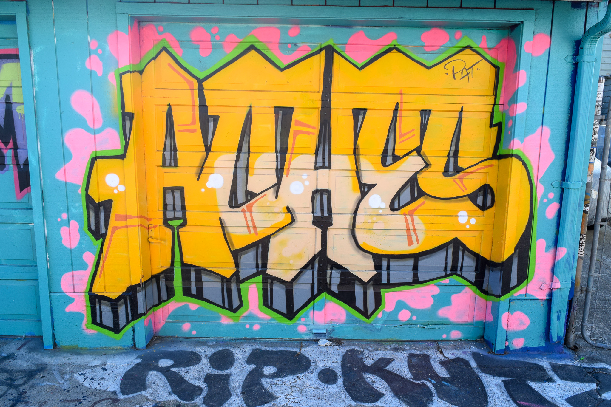 DSC_0289.jpg
