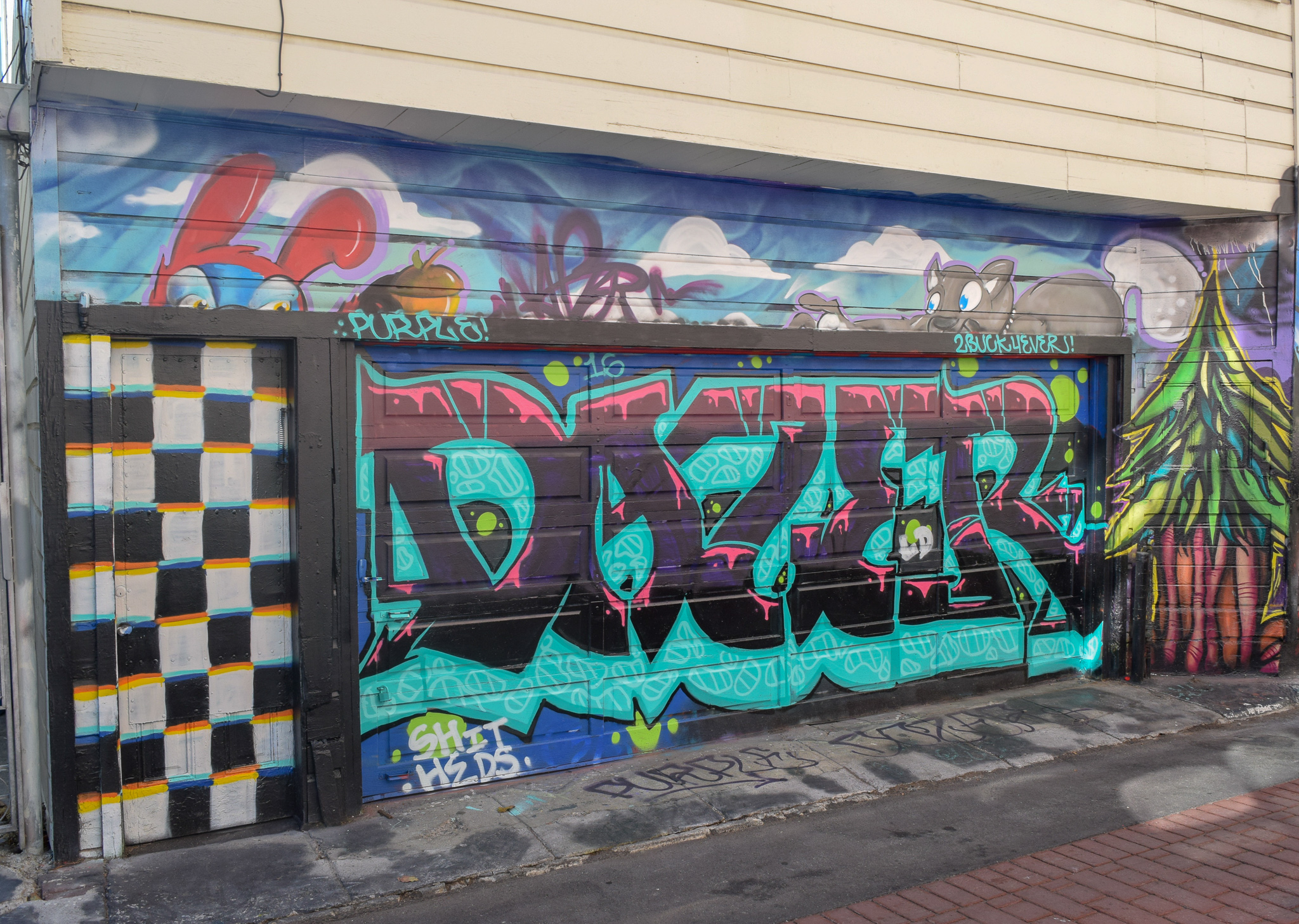 DSC_0296.jpg