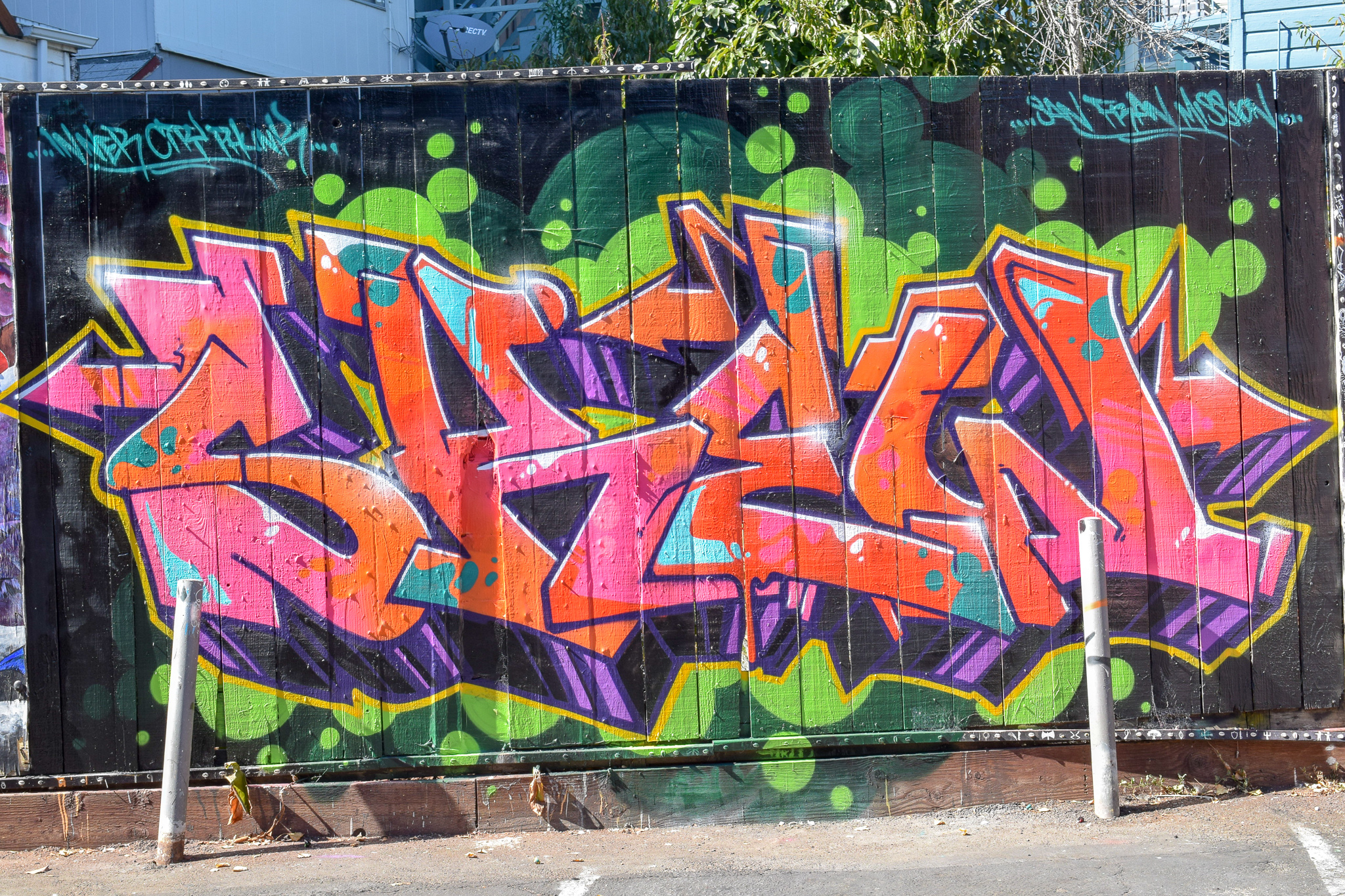 DSC_0300.jpg