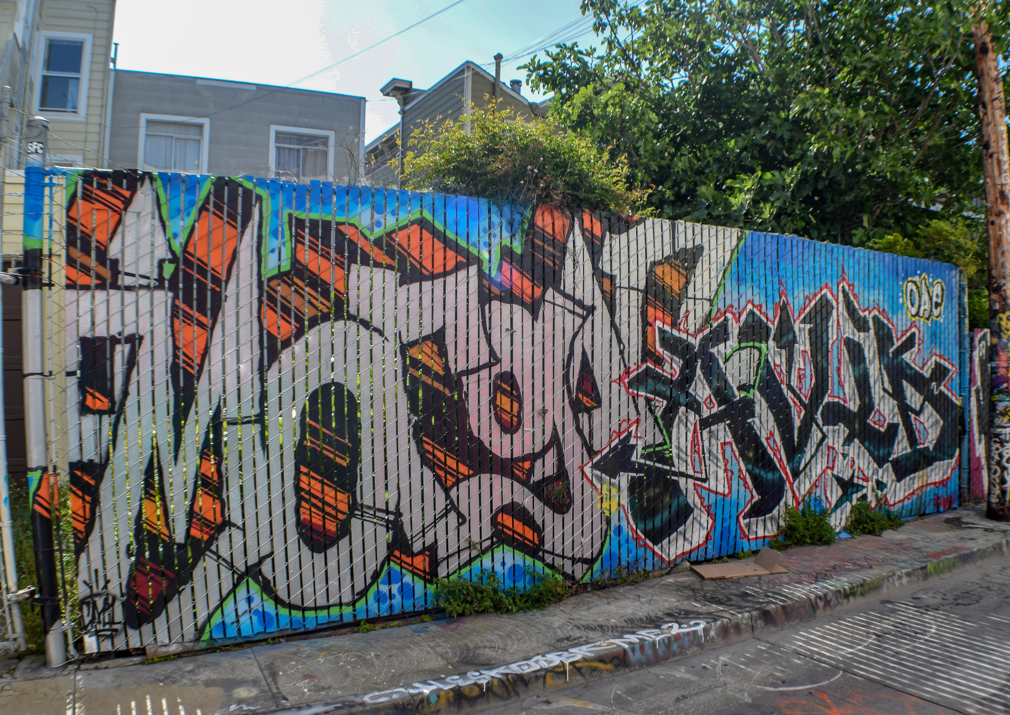 DSC_0307.jpg