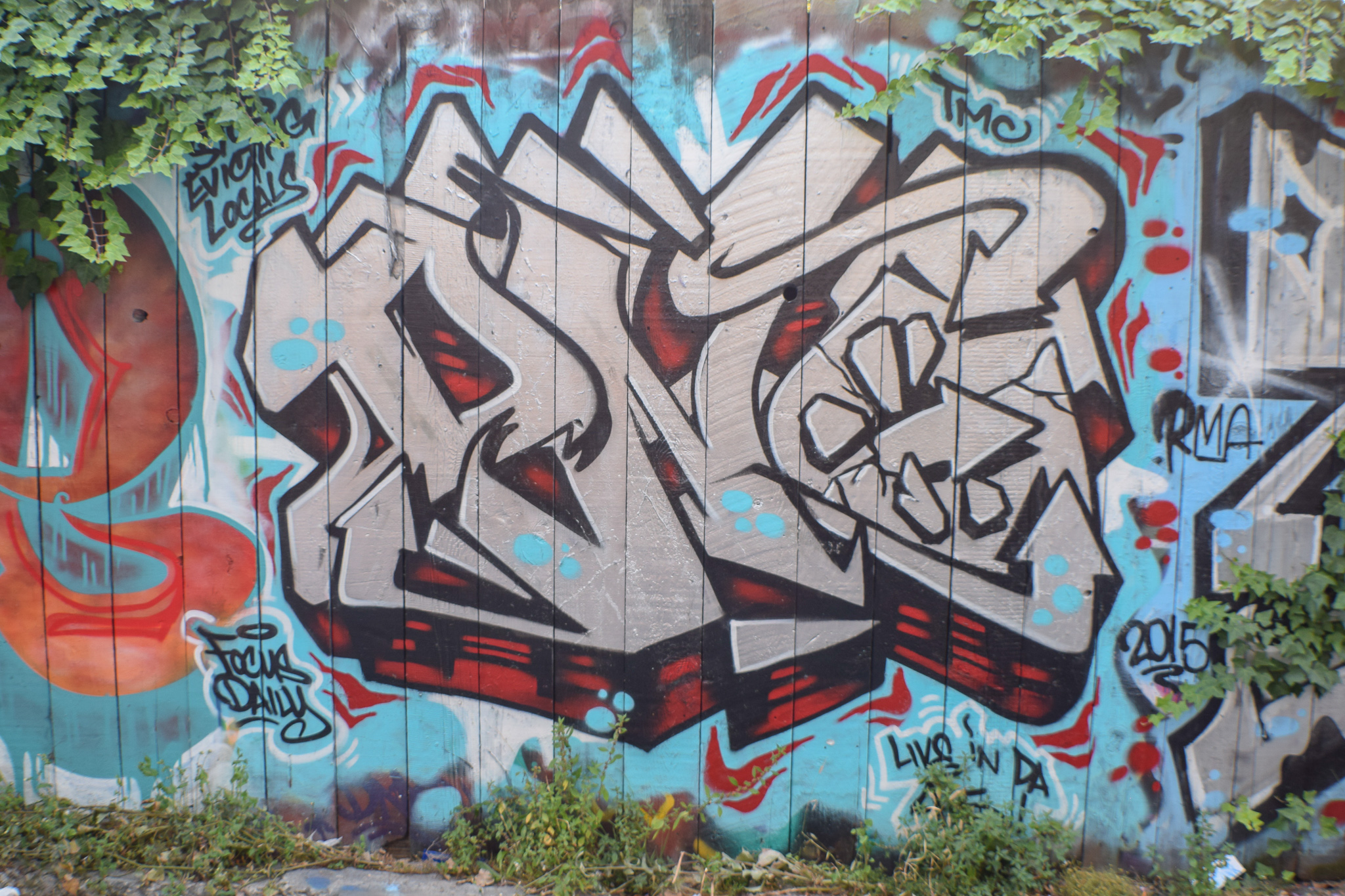 DSC_0310.jpg