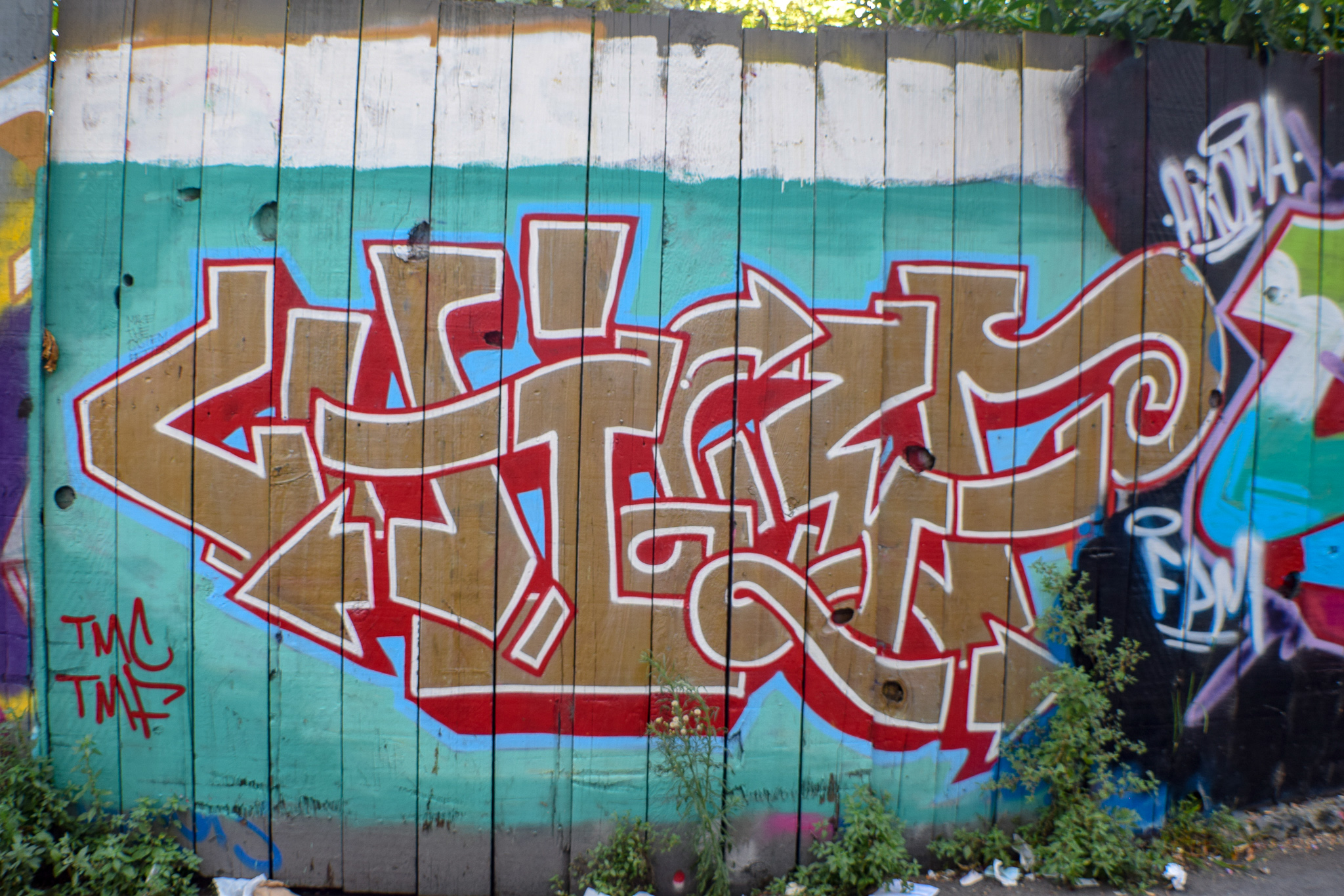 DSC_0311.jpg