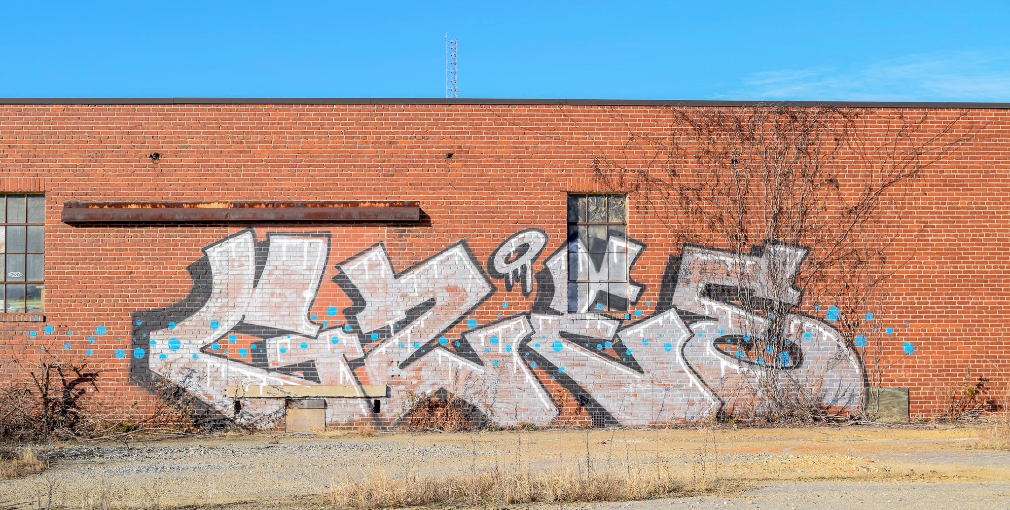 DSC_0409.jpg